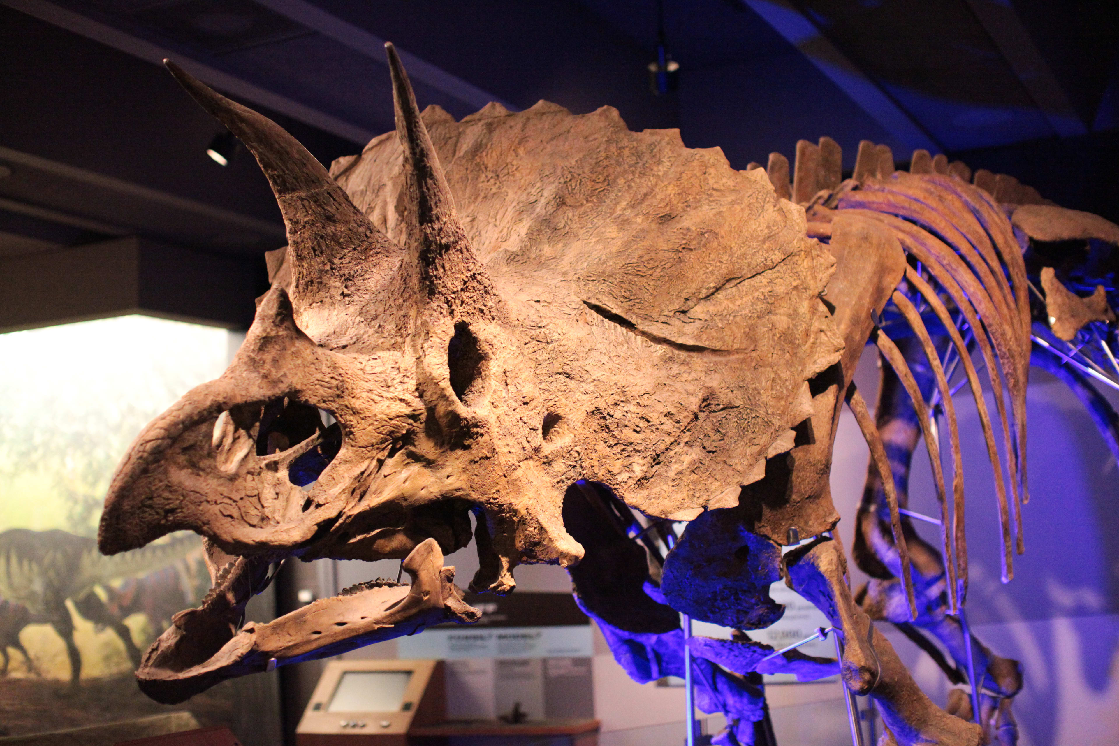 Museum of Science