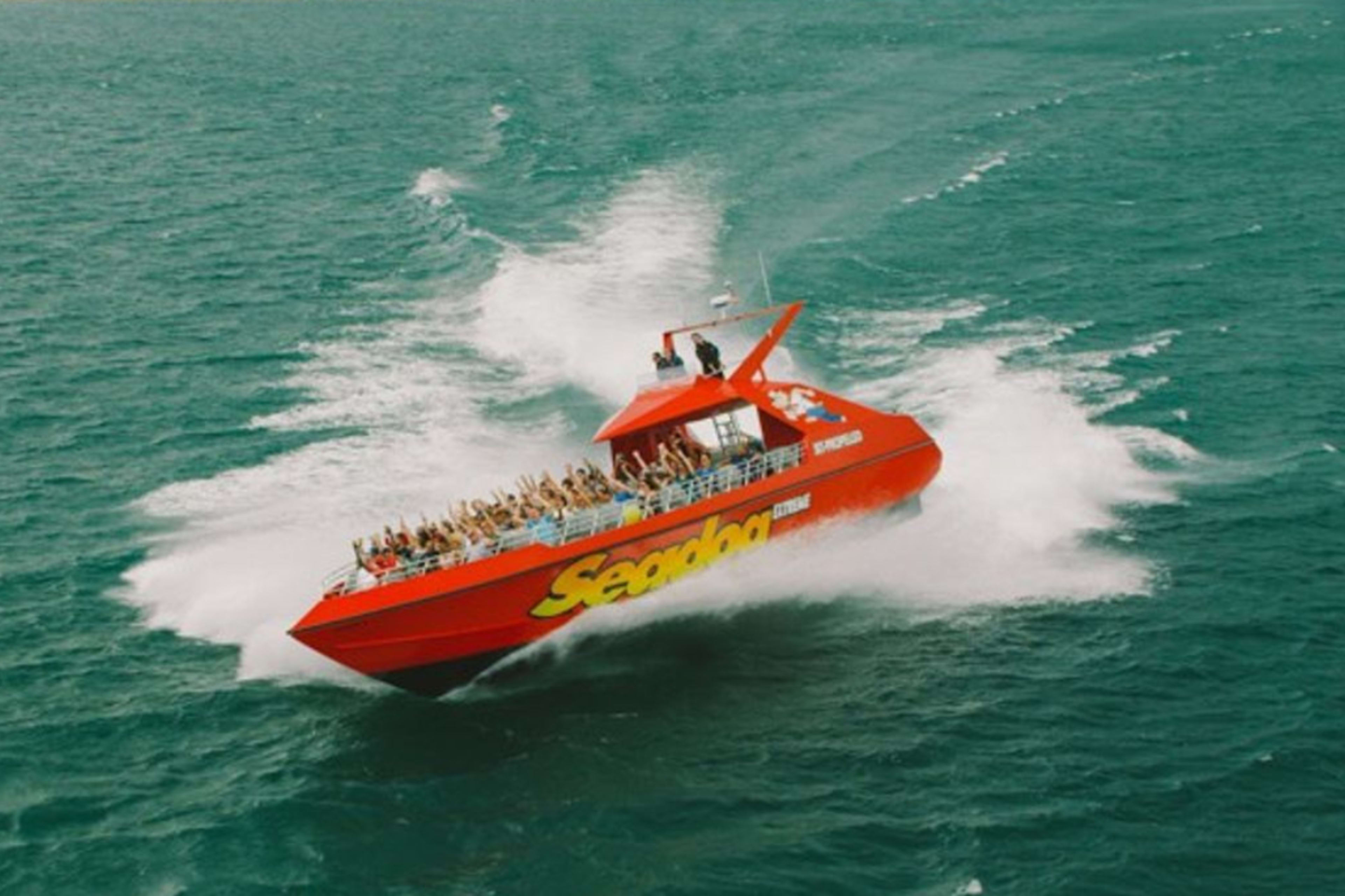 Extreme Thrill Ride