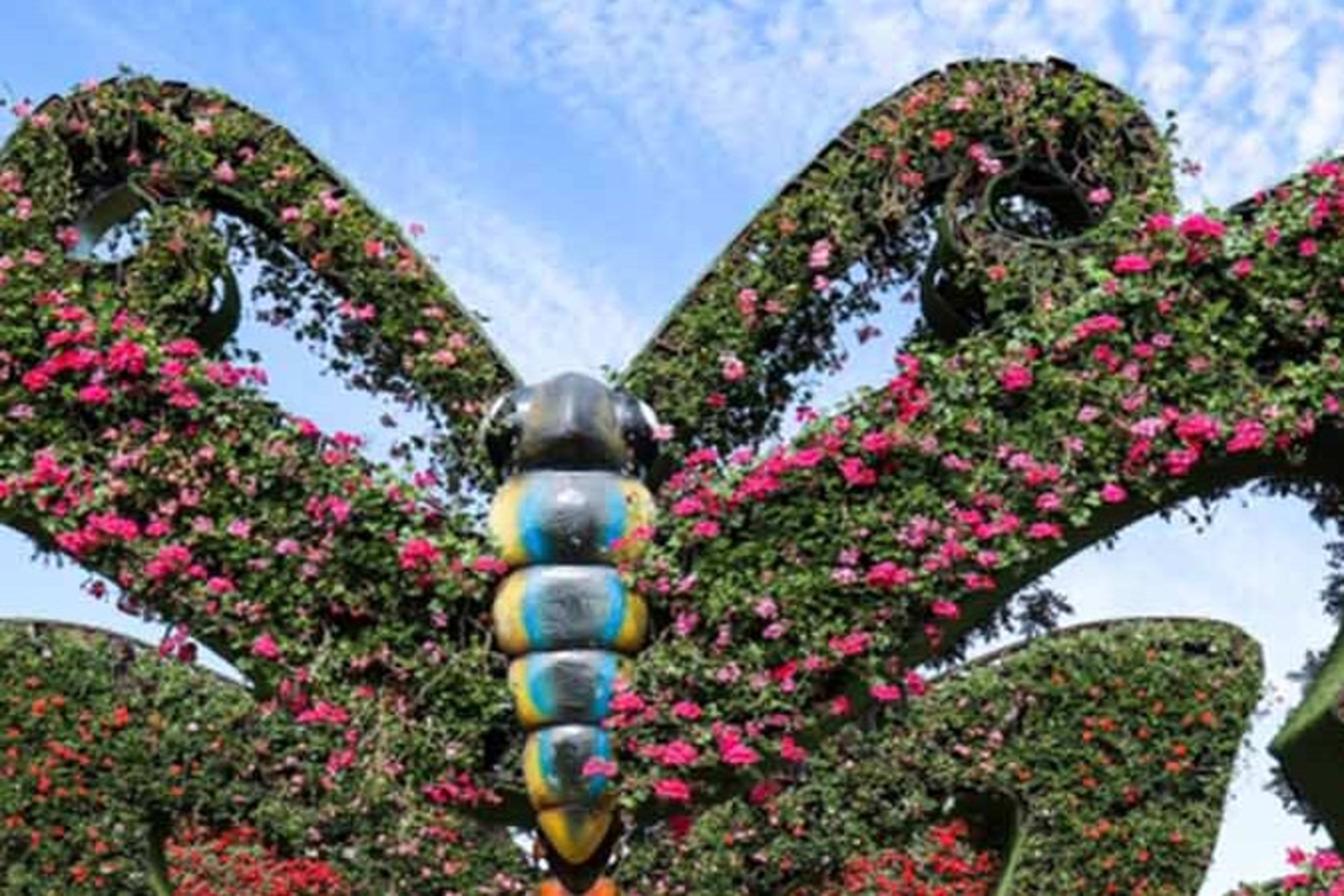 Dubai Butterfly Garden