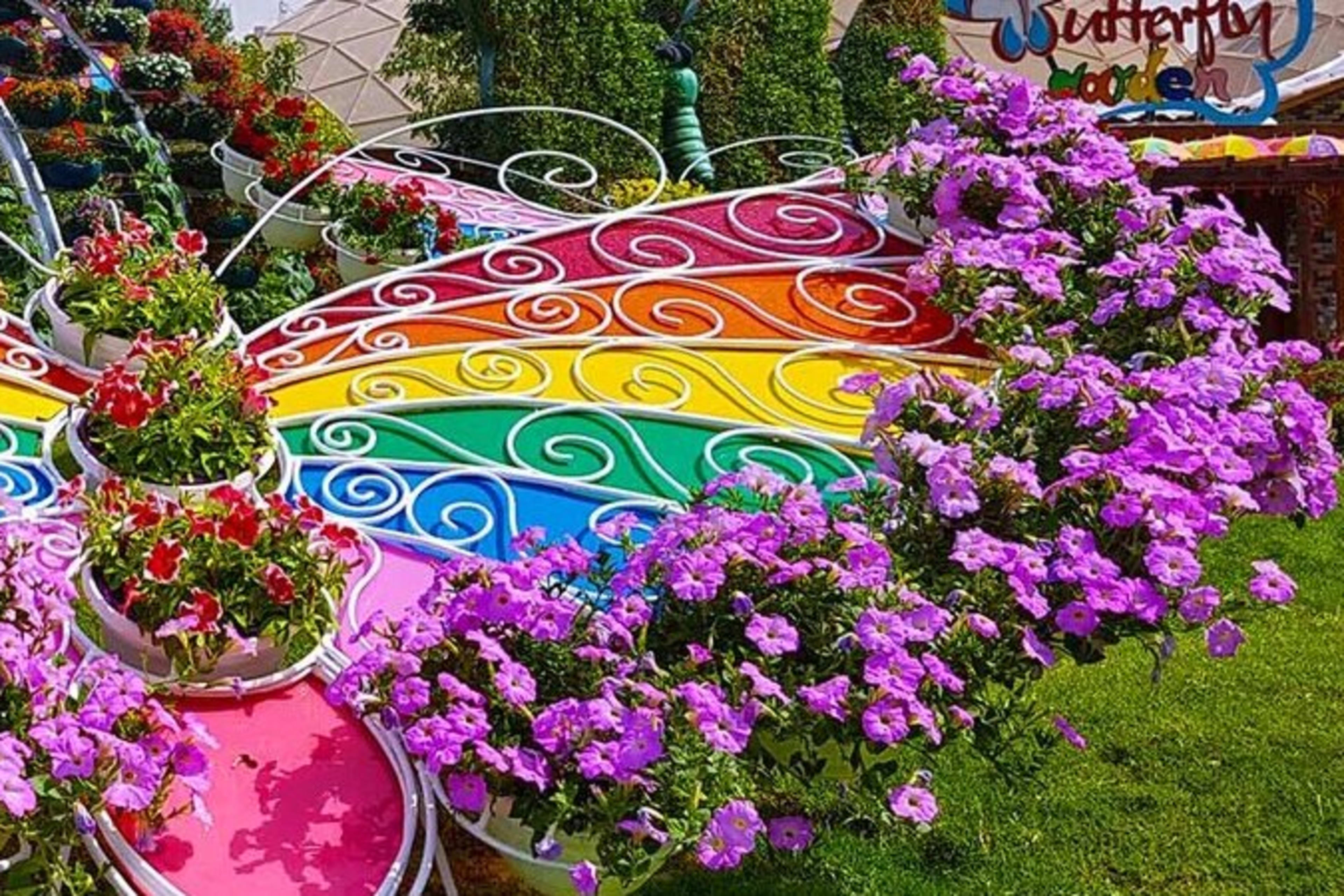 Dubai Butterfly Garden
