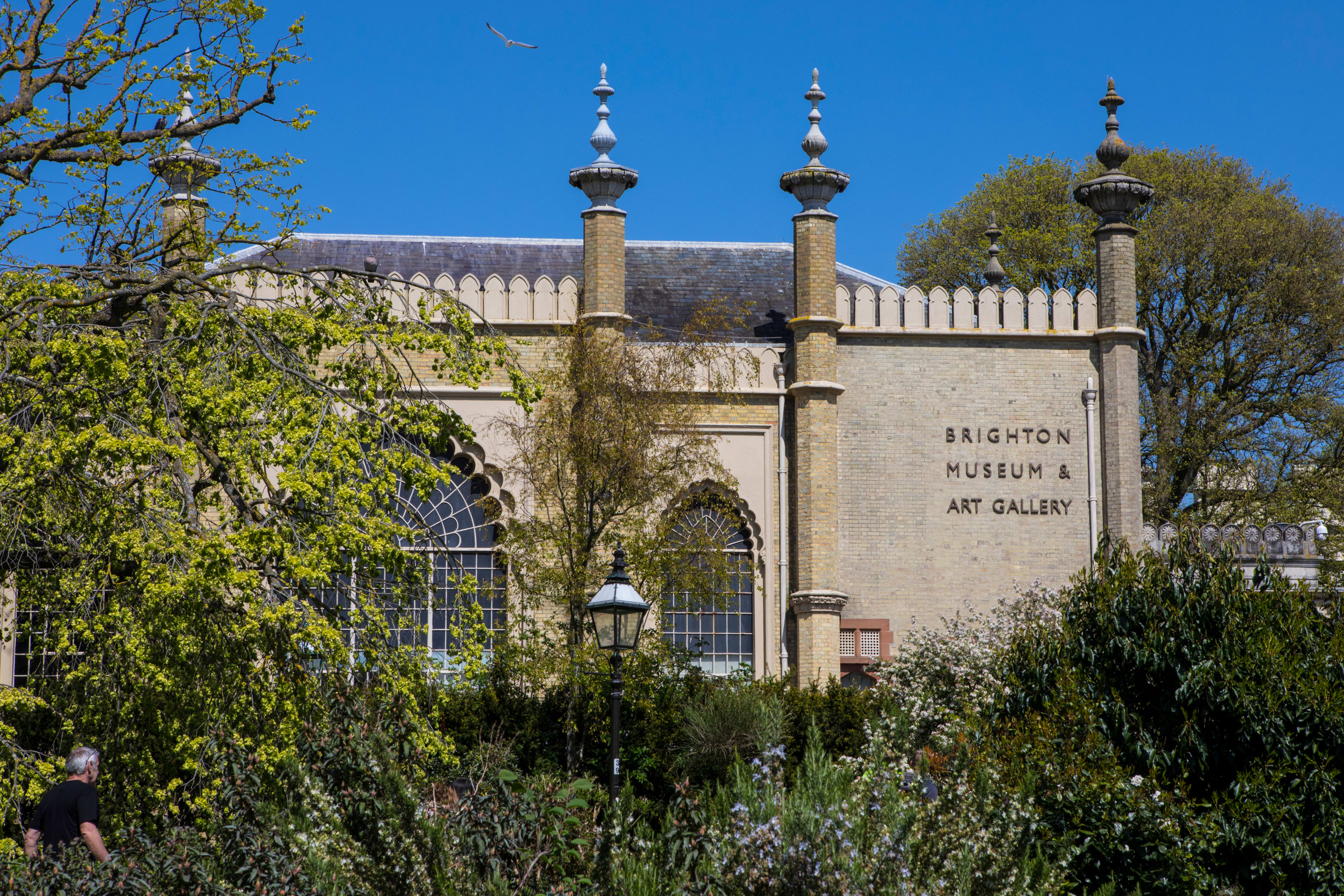 Musée et galerie d'art de Brighton