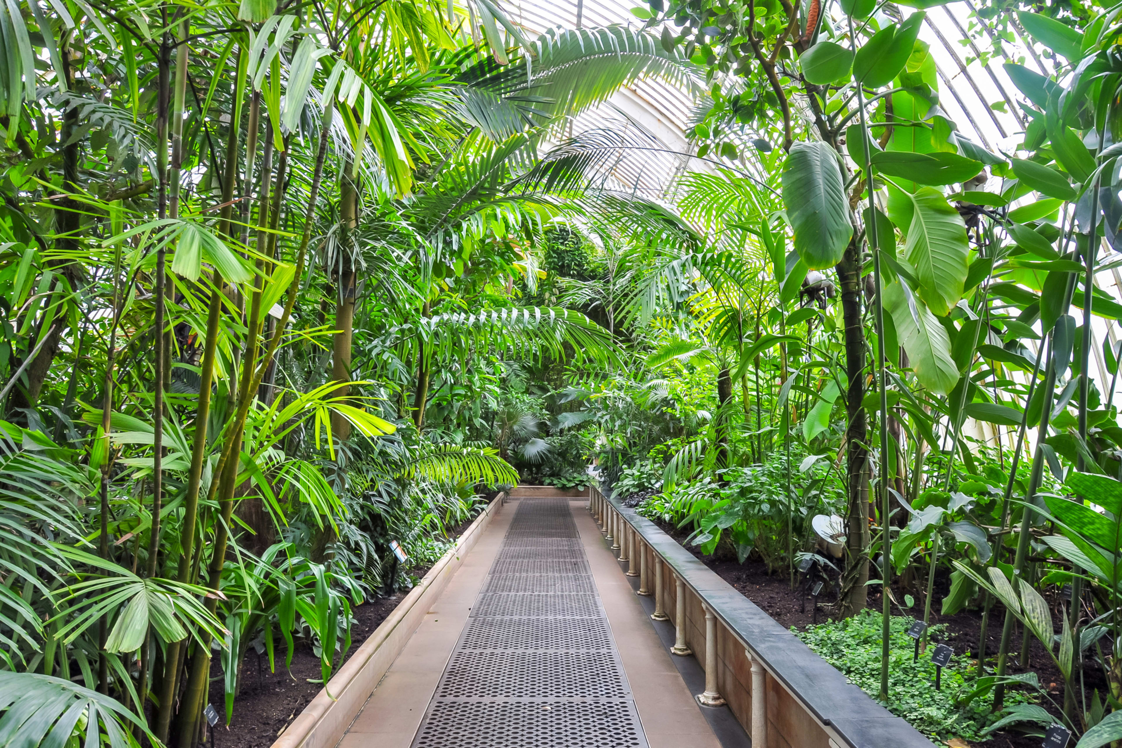 キュー・ガーデン | Free With The London Explorer Pass