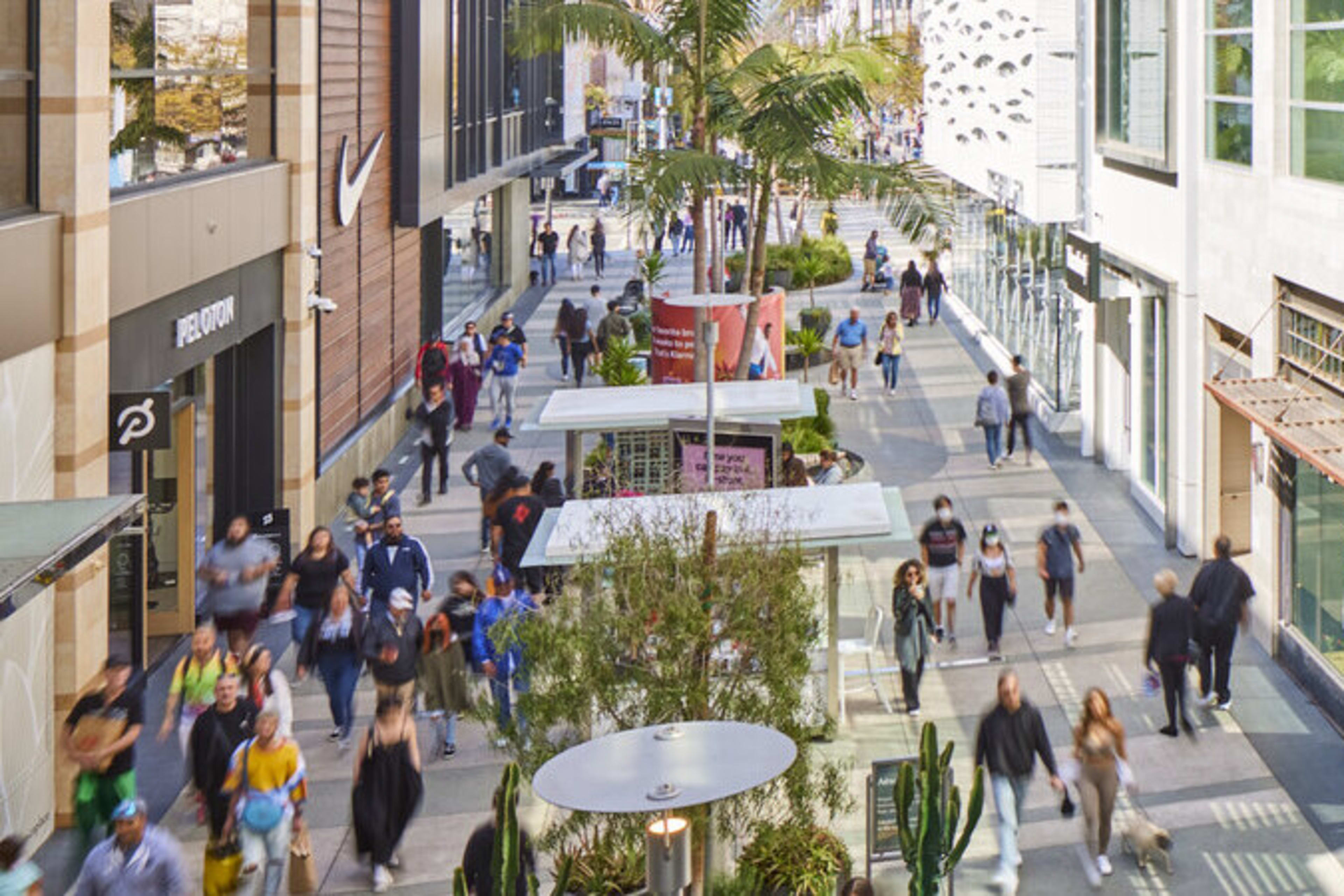 The Curious Palate (Santa Monica Place)