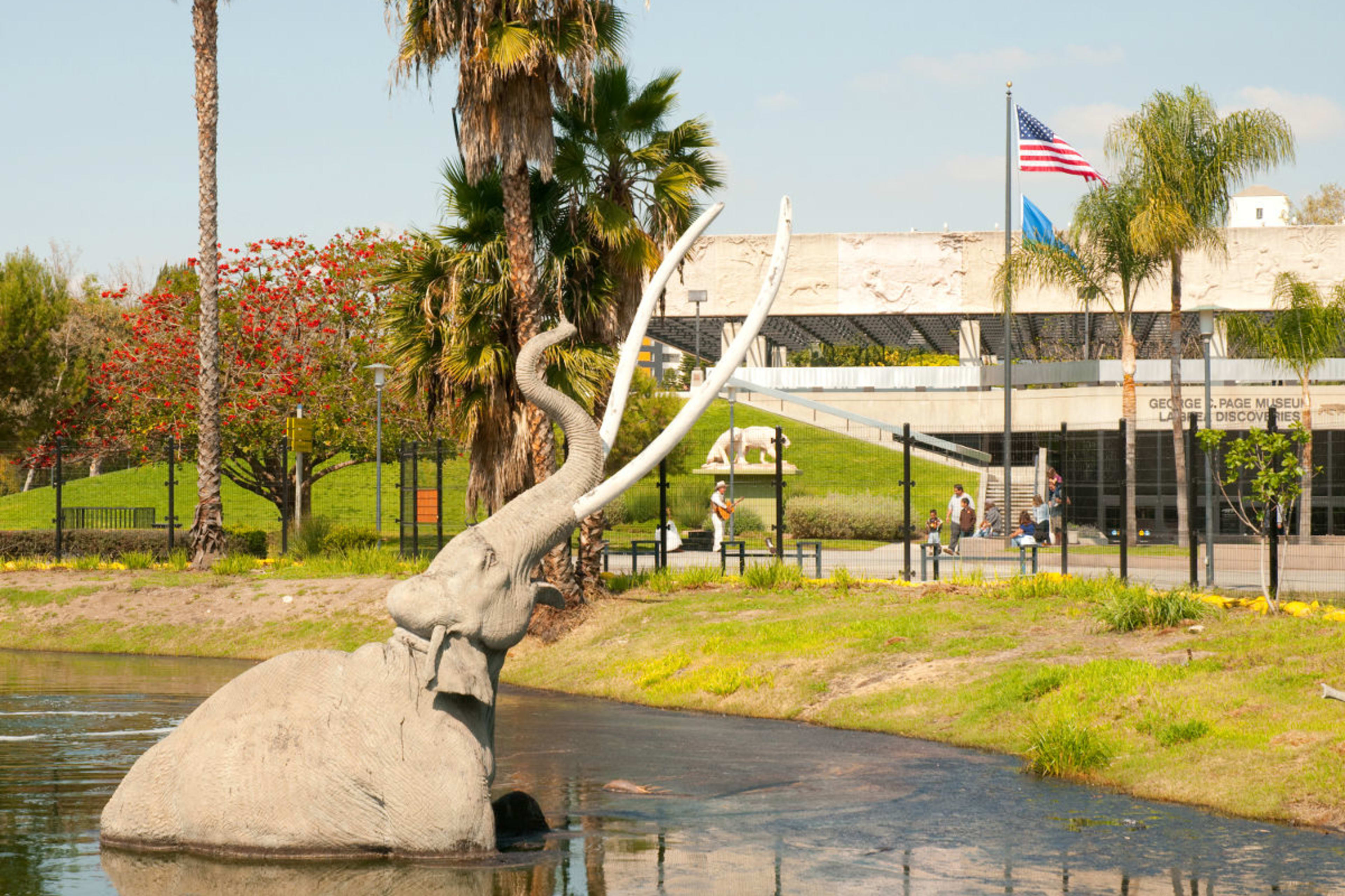 La Brea Tar Pits and Museum