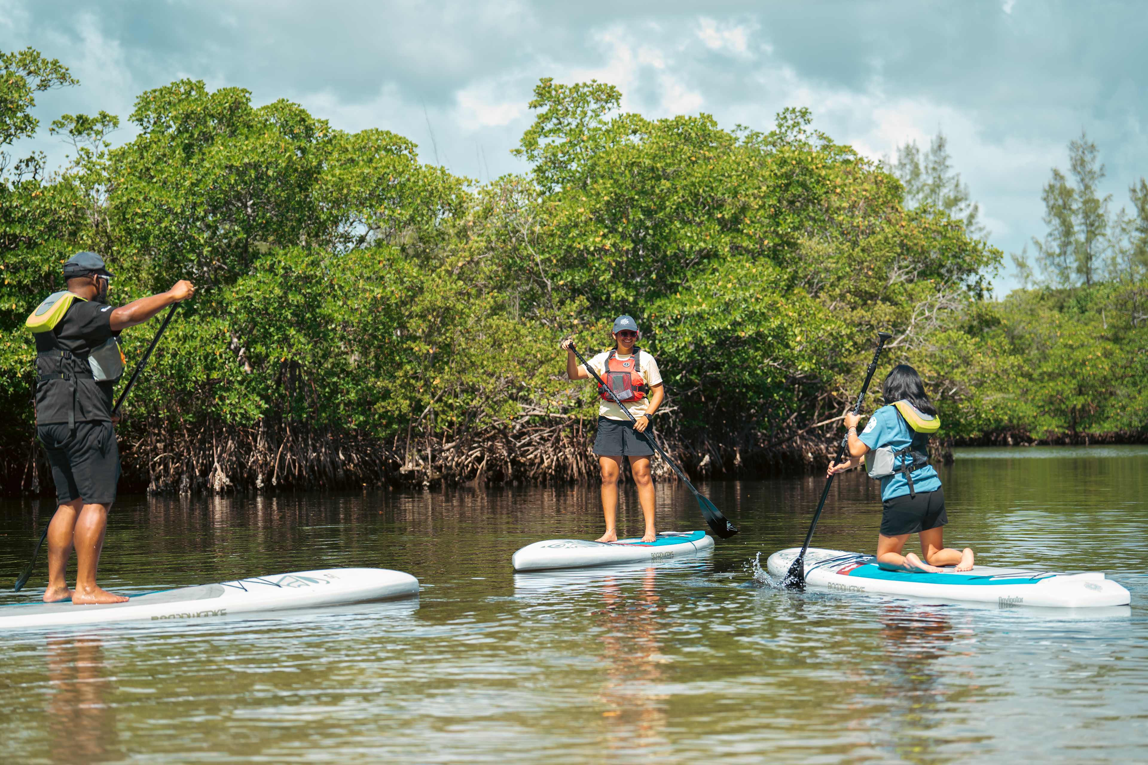 1 Hour Kayak or Paddleboard Rental at Oleta State Park