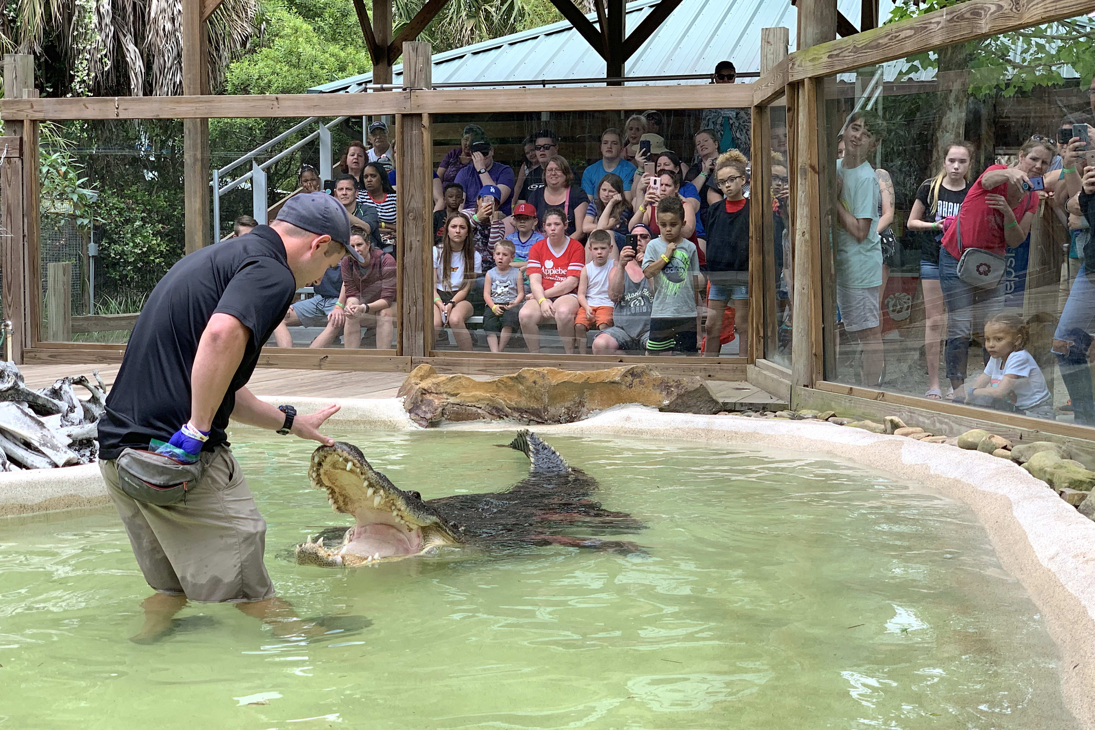 wild florida
