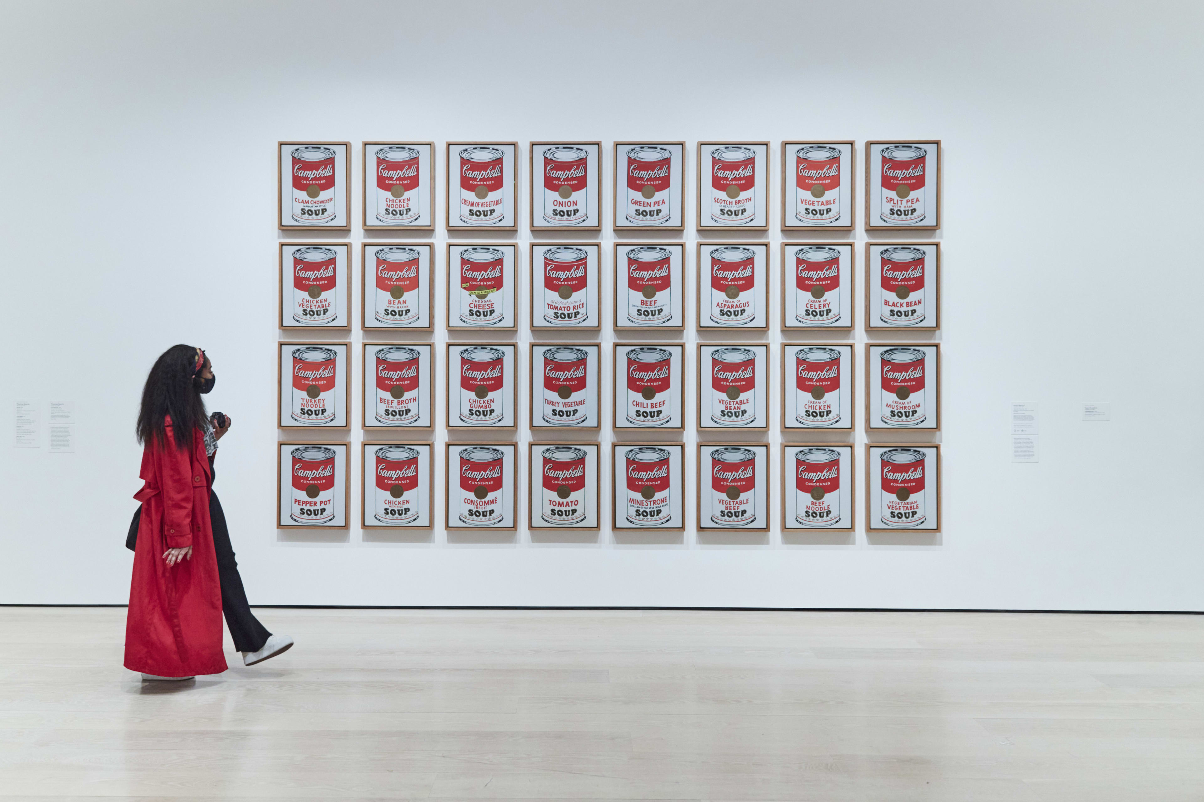 MoMA View