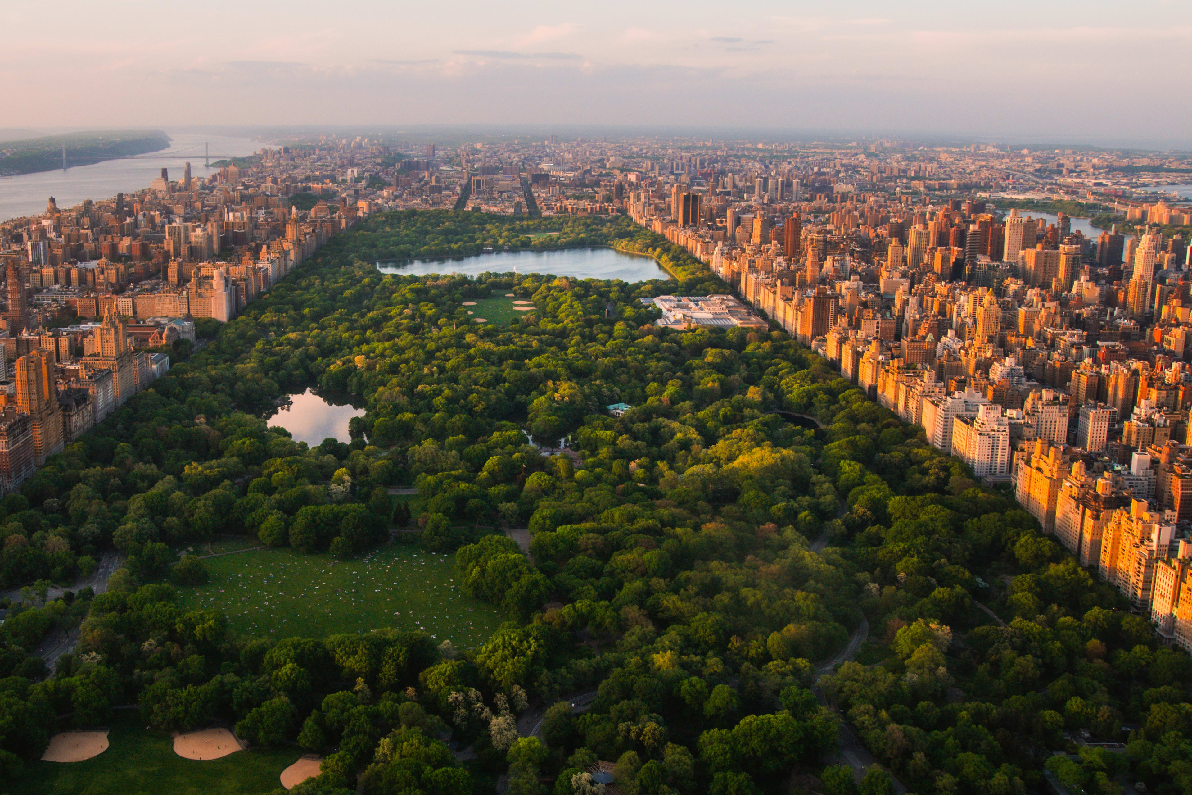 Perfect Picnic New York