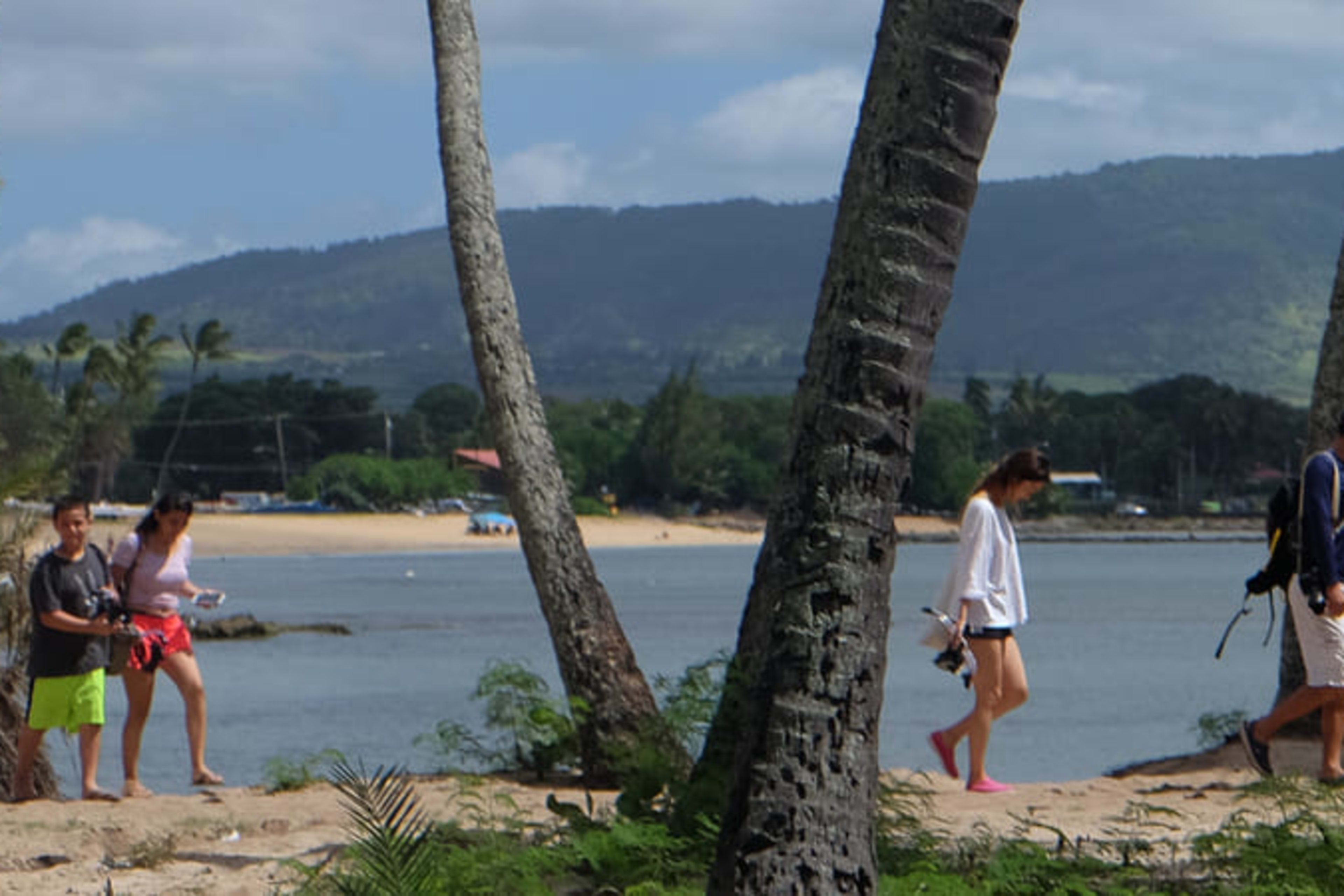 People exploring a beach in Hawaii.