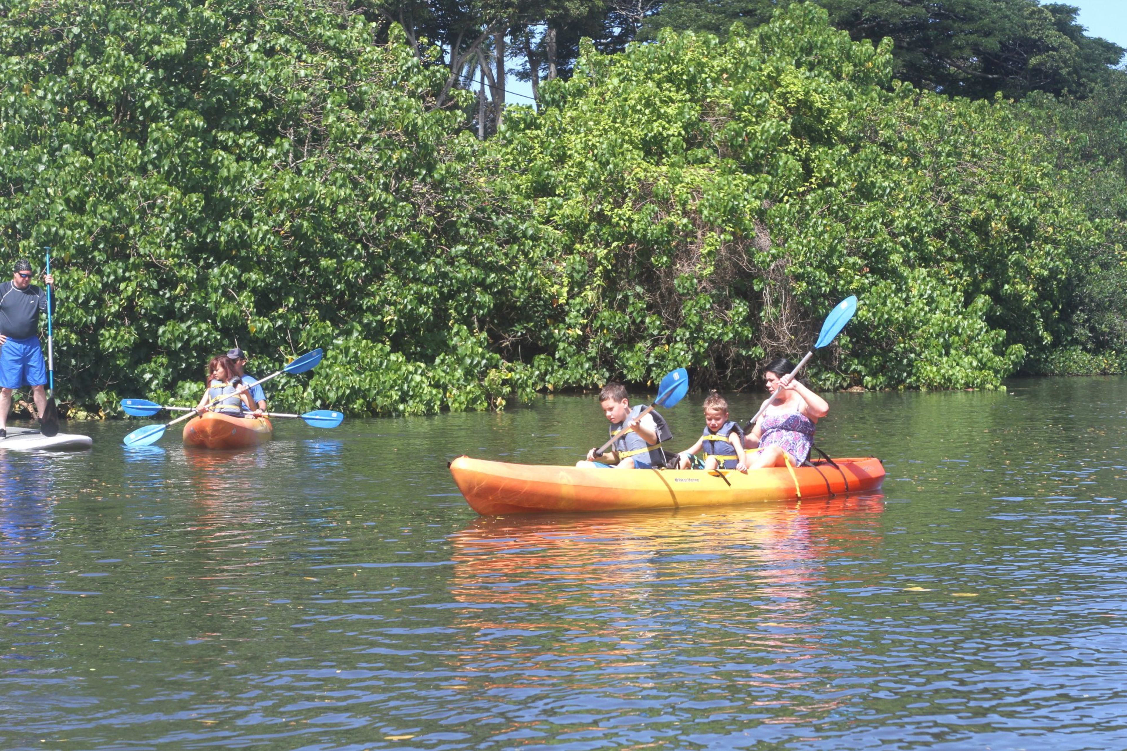 Three-Hour Kayak Rental Oahu