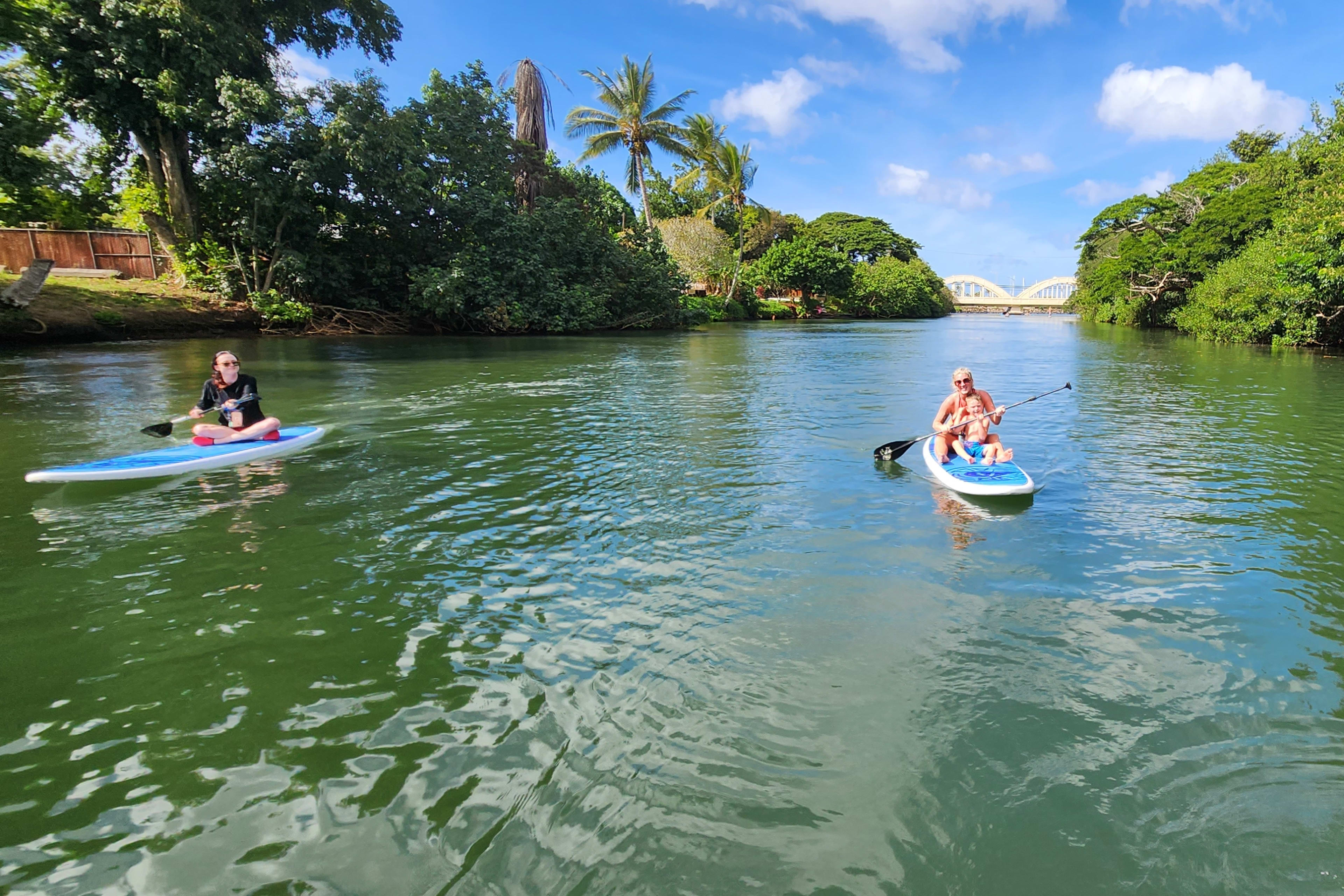 スタンドアップパドルボード（SUP）で大自然とウミガメ観察ツアー | Go