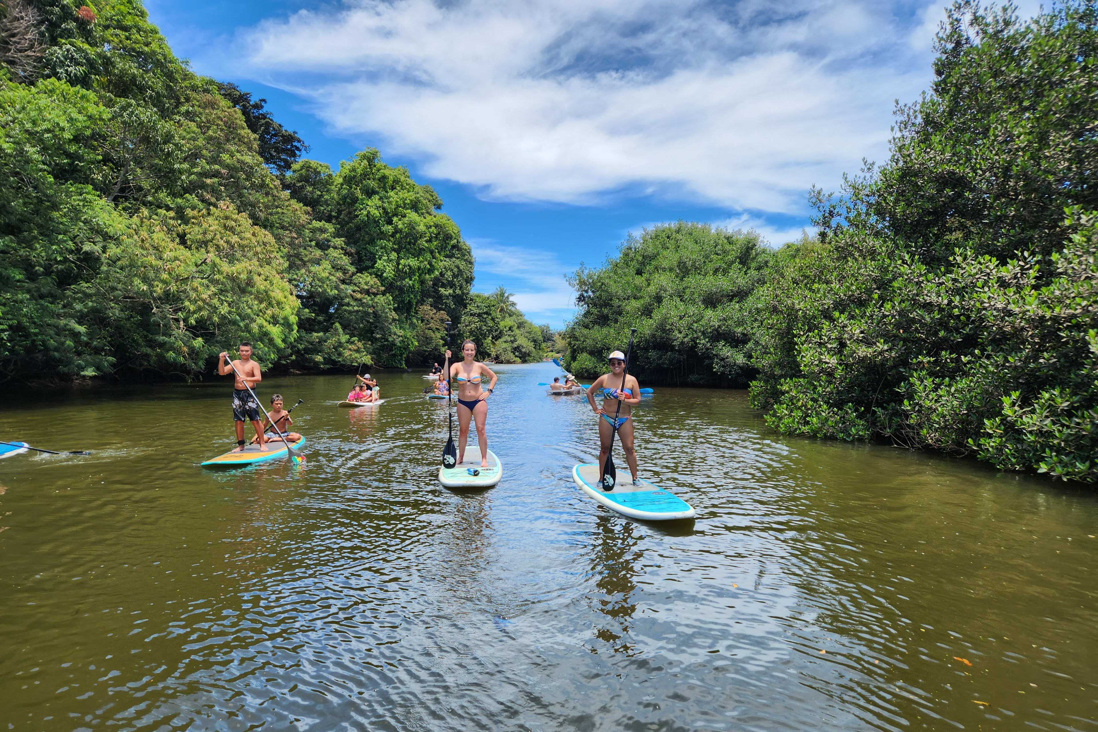 スタンドアップパドルボード（SUP）で大自然とウミガメ観察ツアー | Go