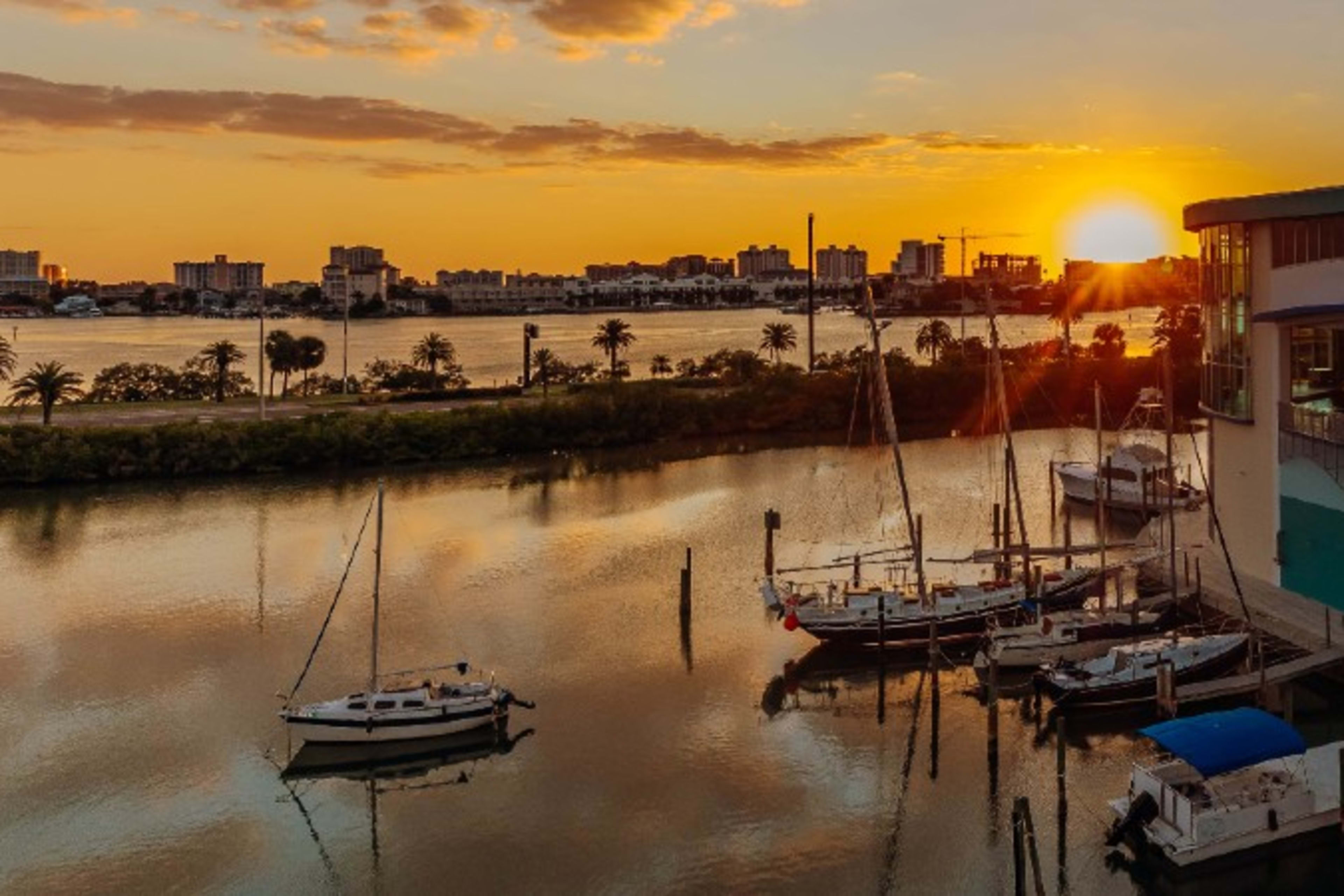 Clearwater Marine Aquarium 