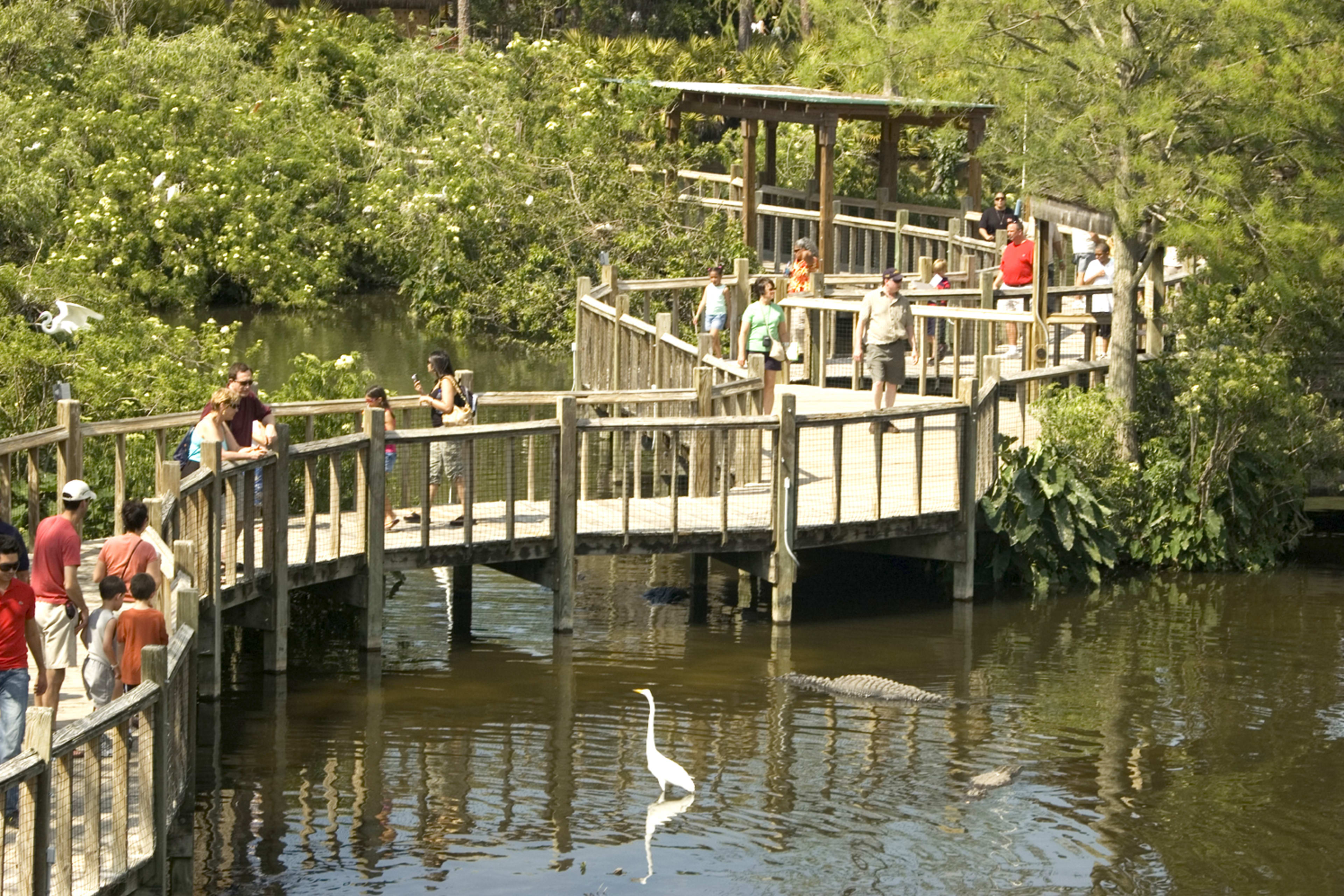 Gatorland