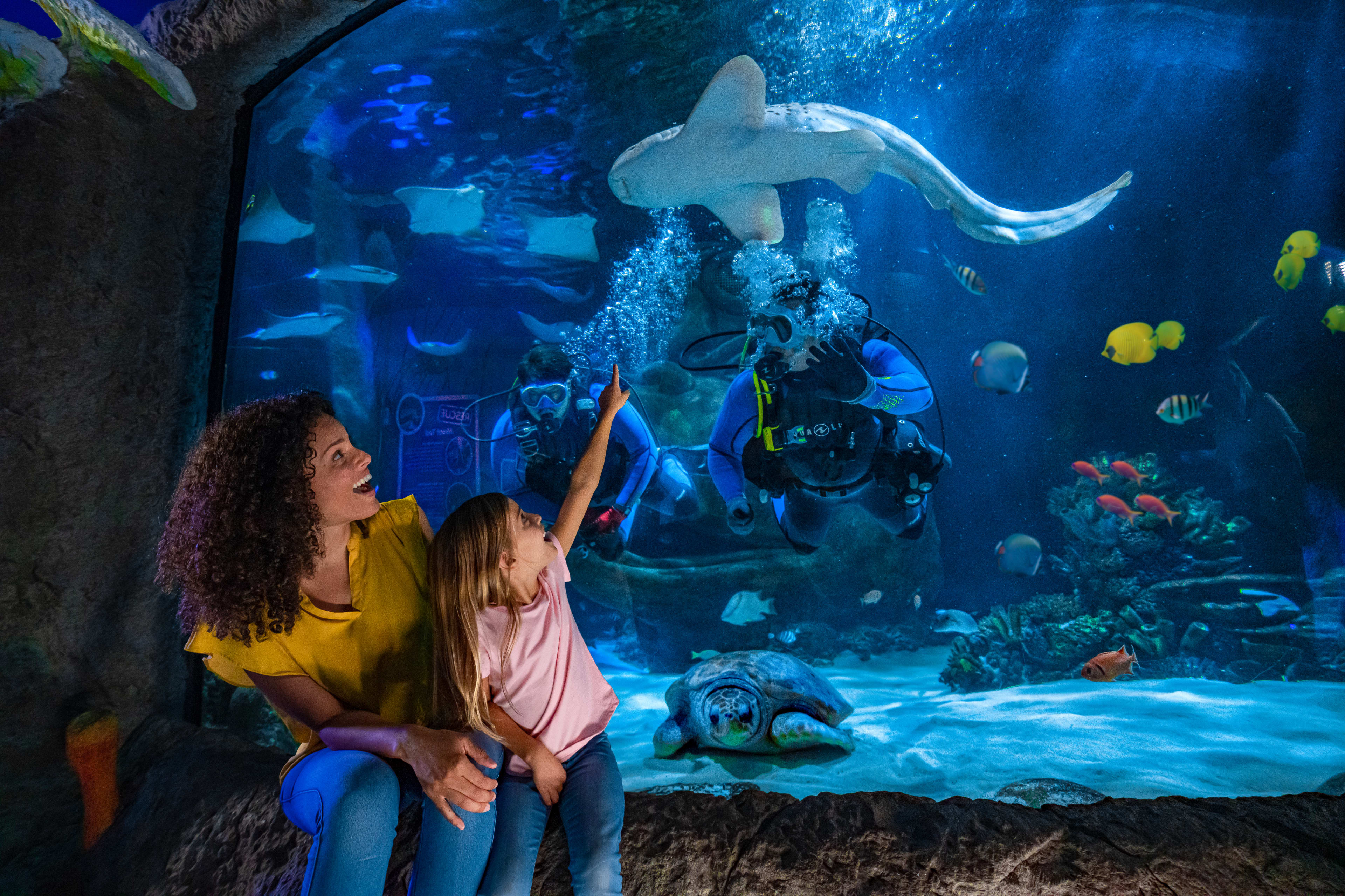 Acuario SEA LIFE de Orlando