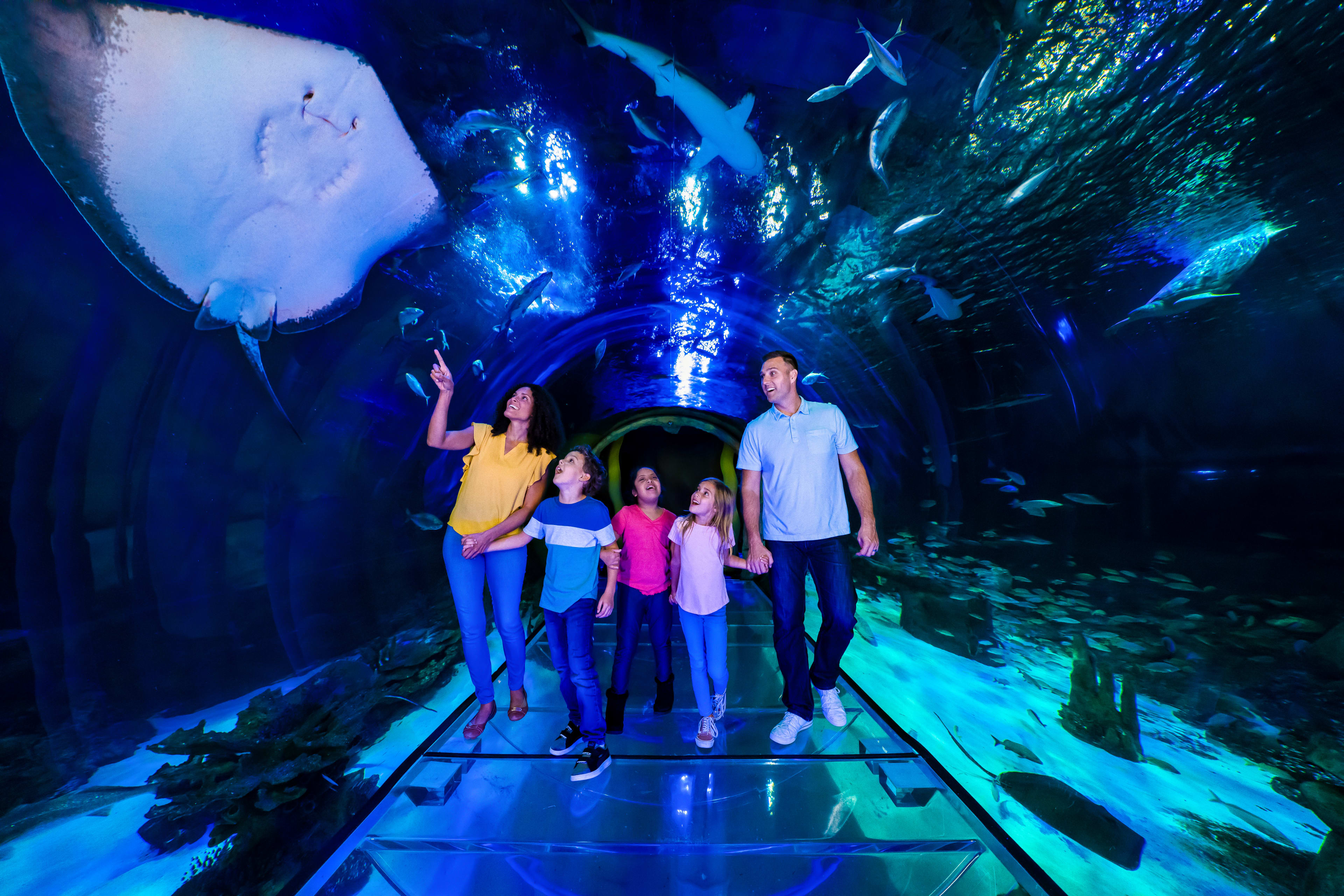 SEA LIFE Aquarium Orlando | Go Orlando Pass