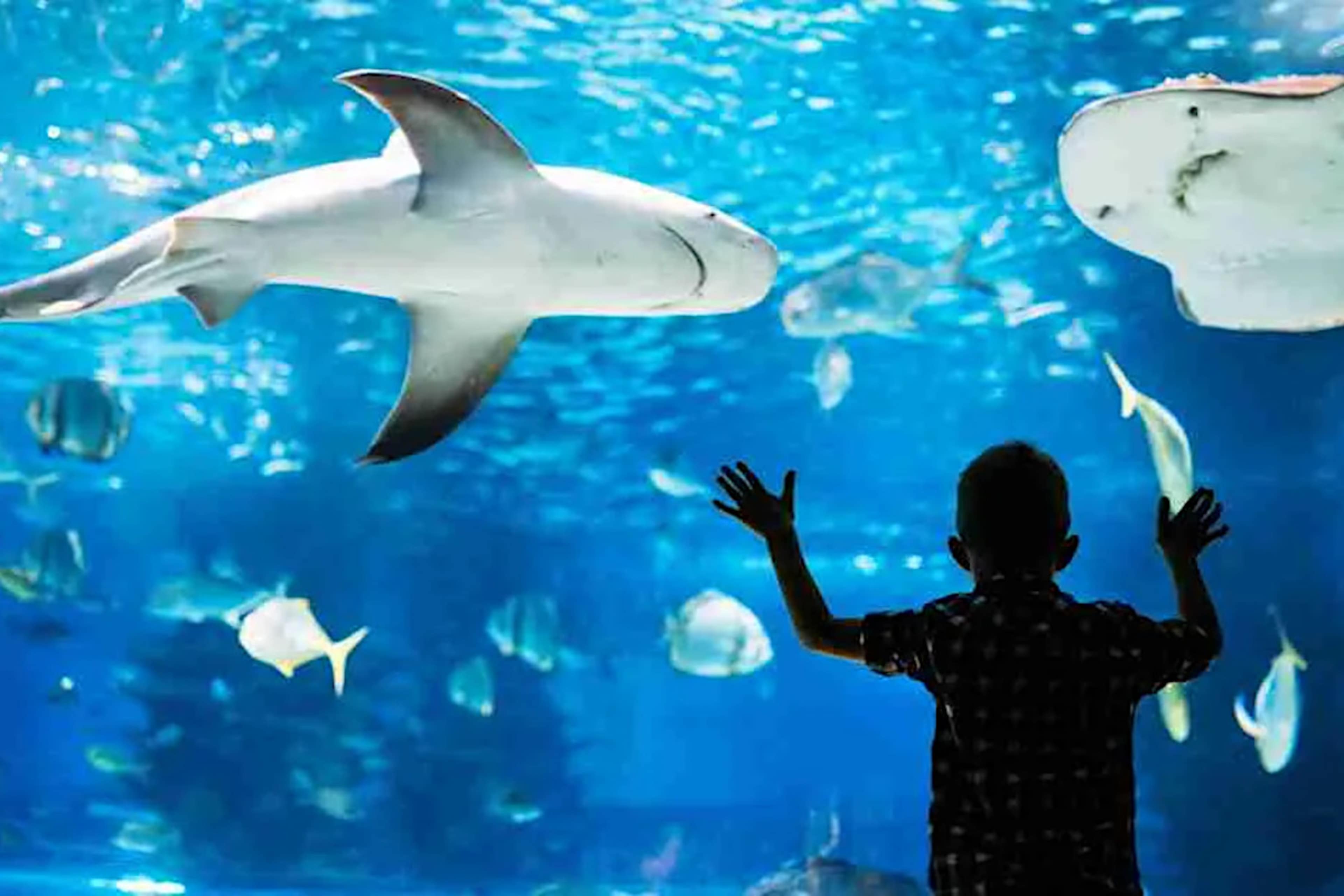 Aquarium de Paris