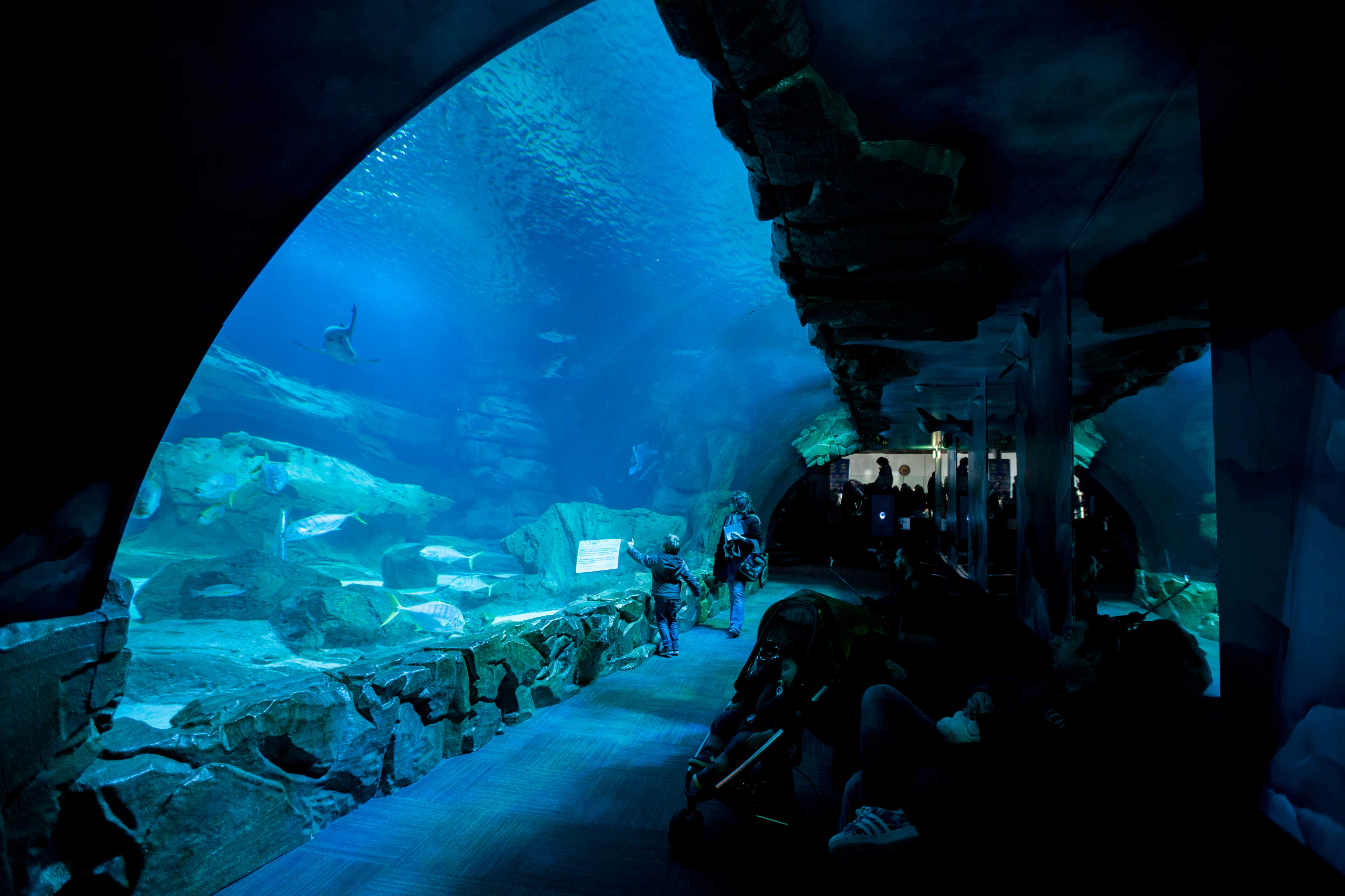 Aquarium 