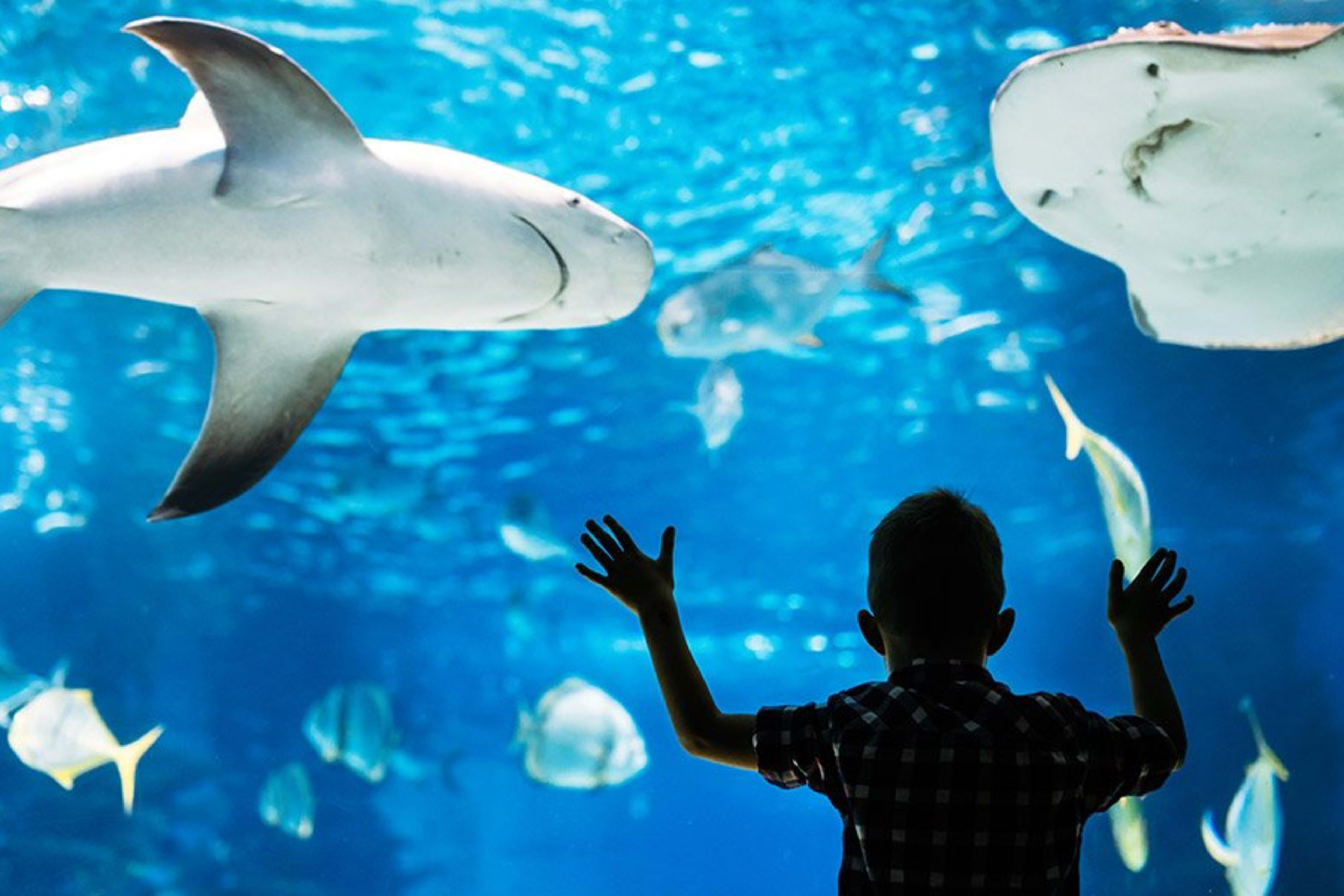 Philadelphia Adventure Aquarium | Go Philadelphia Pass