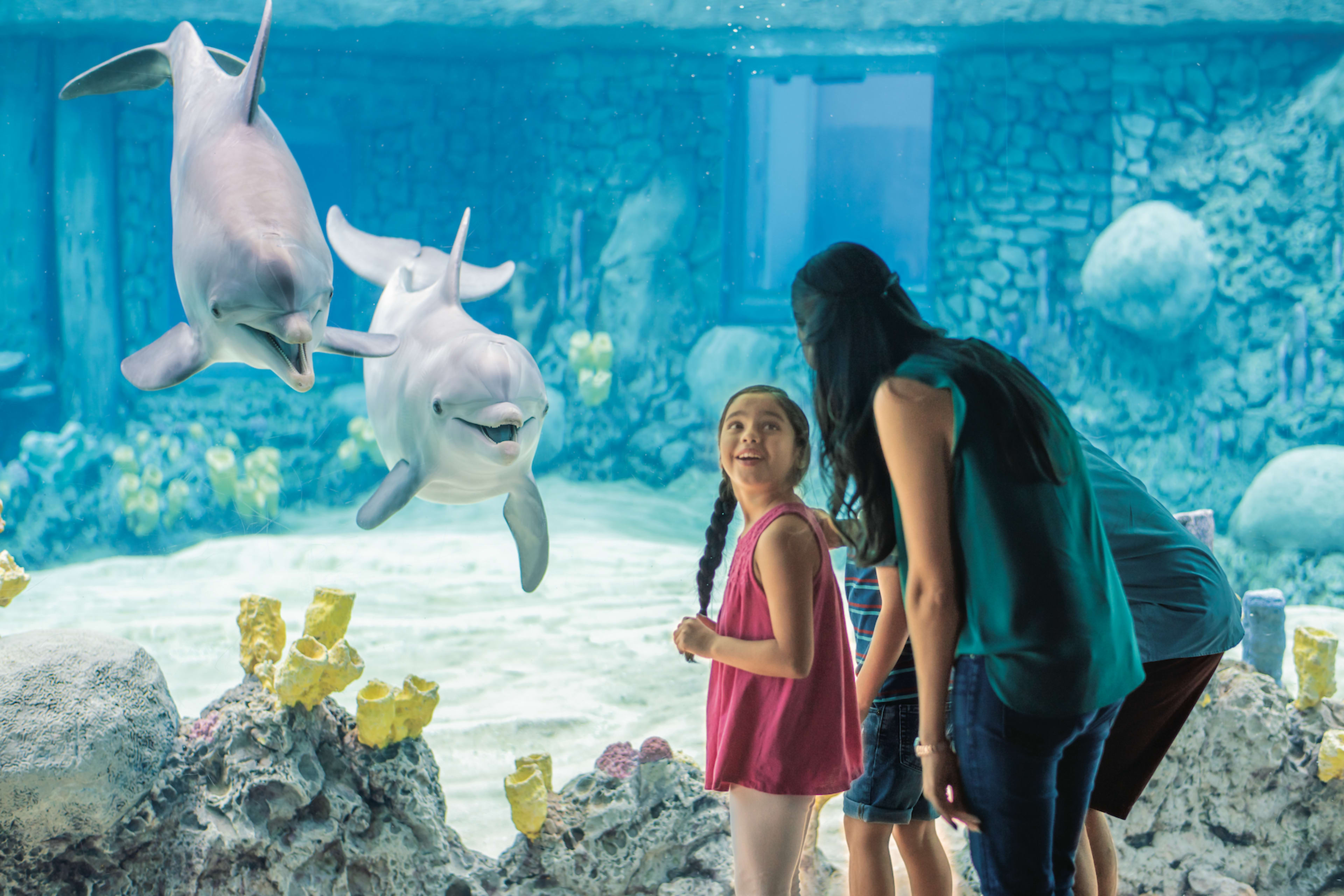 Seaworld | Go San Antonio Pass