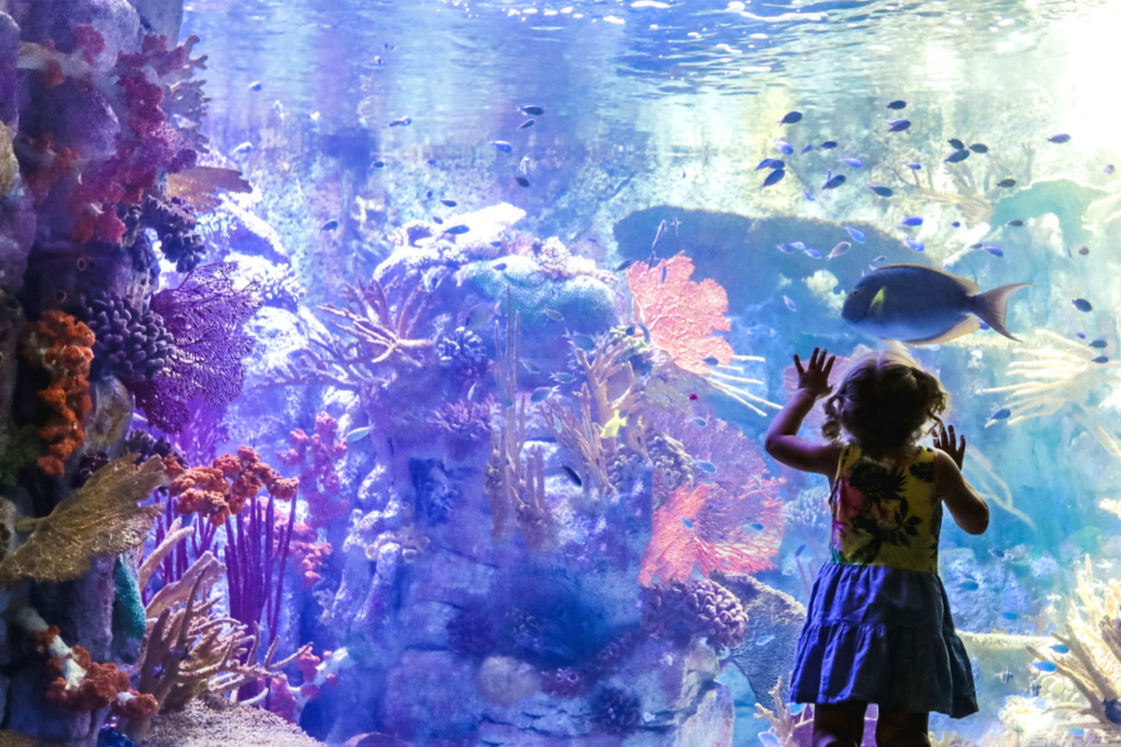 San Diego Birch Aquarium