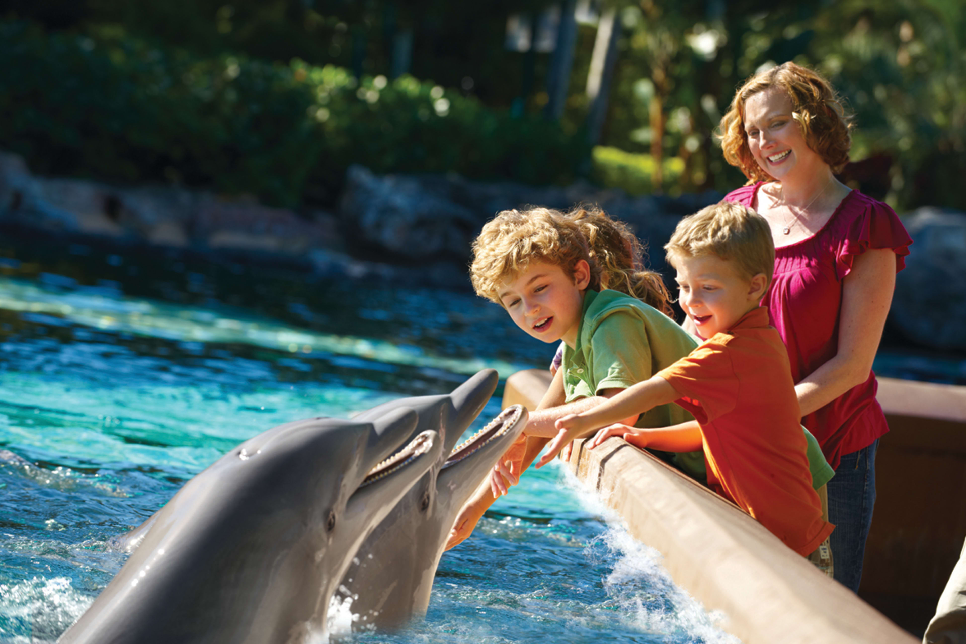 Seaworld