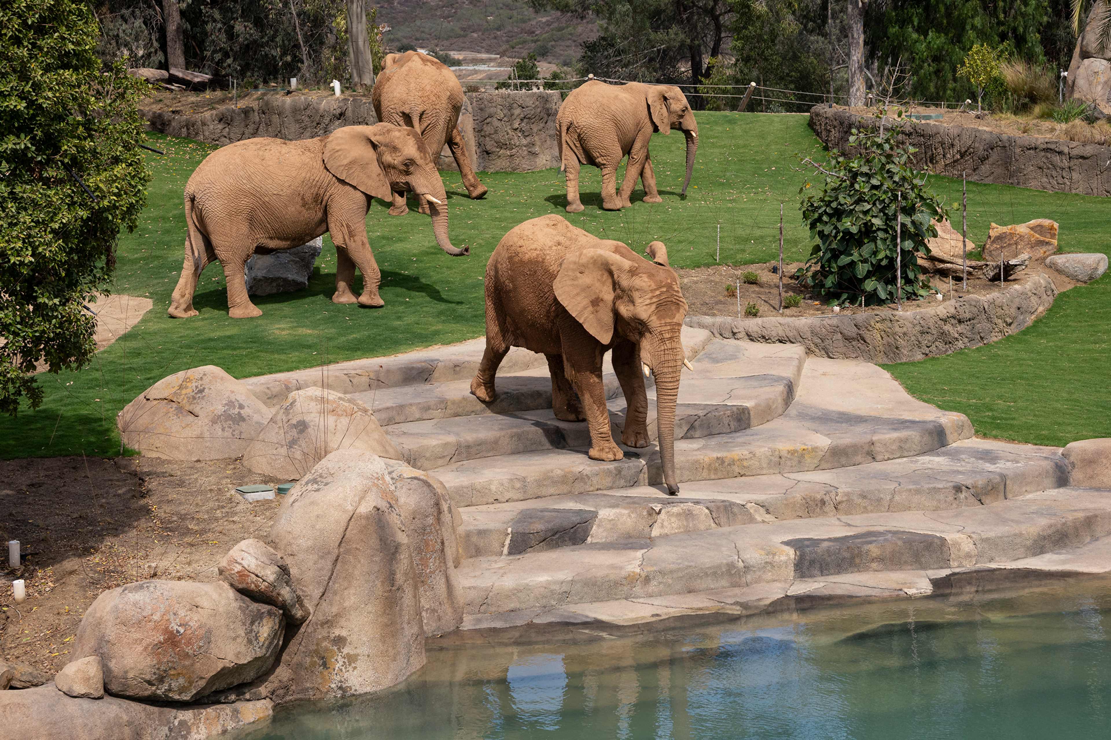 Elephant Valley