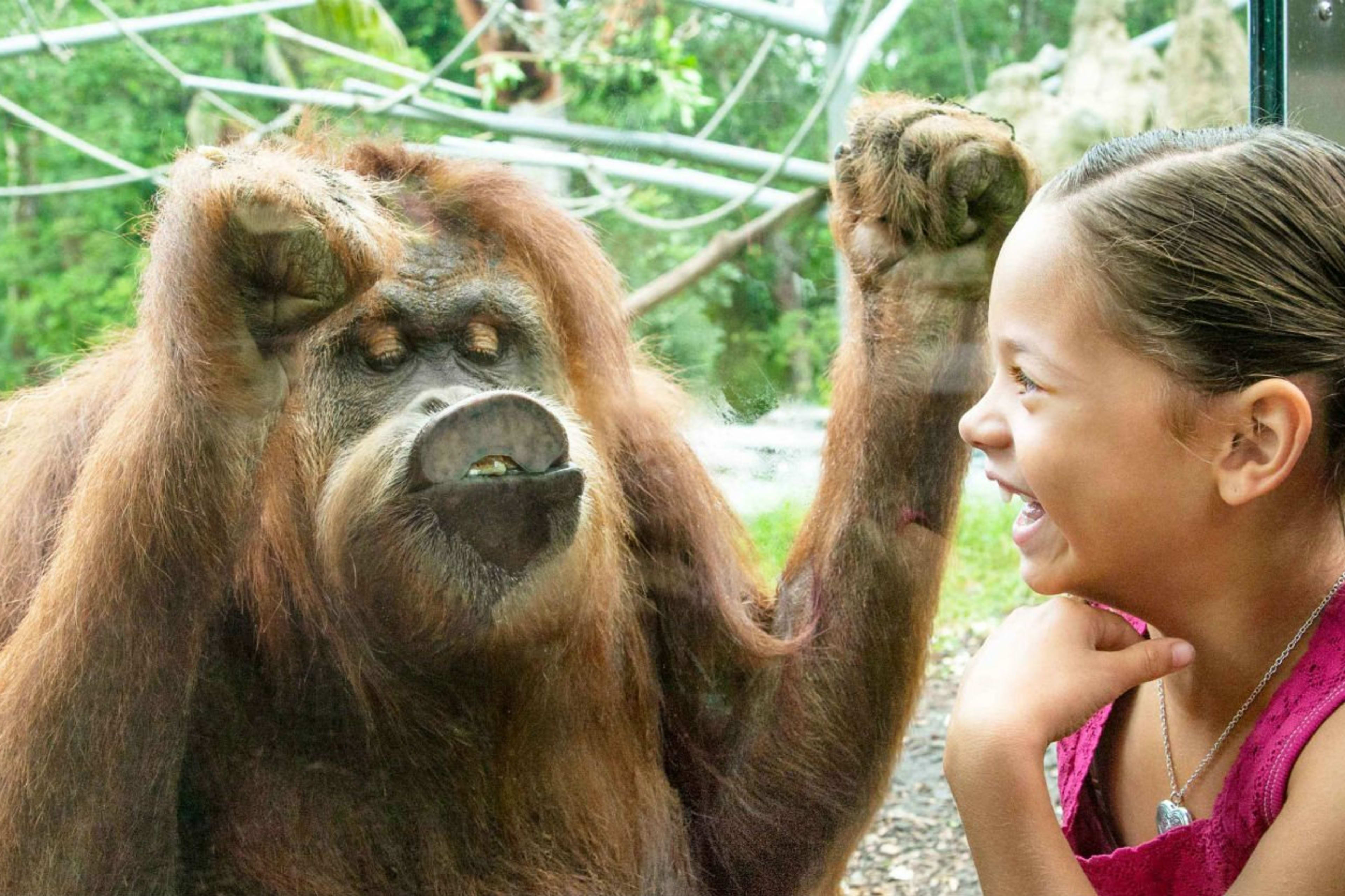 San Diego Zoo | Go San Diego Pass