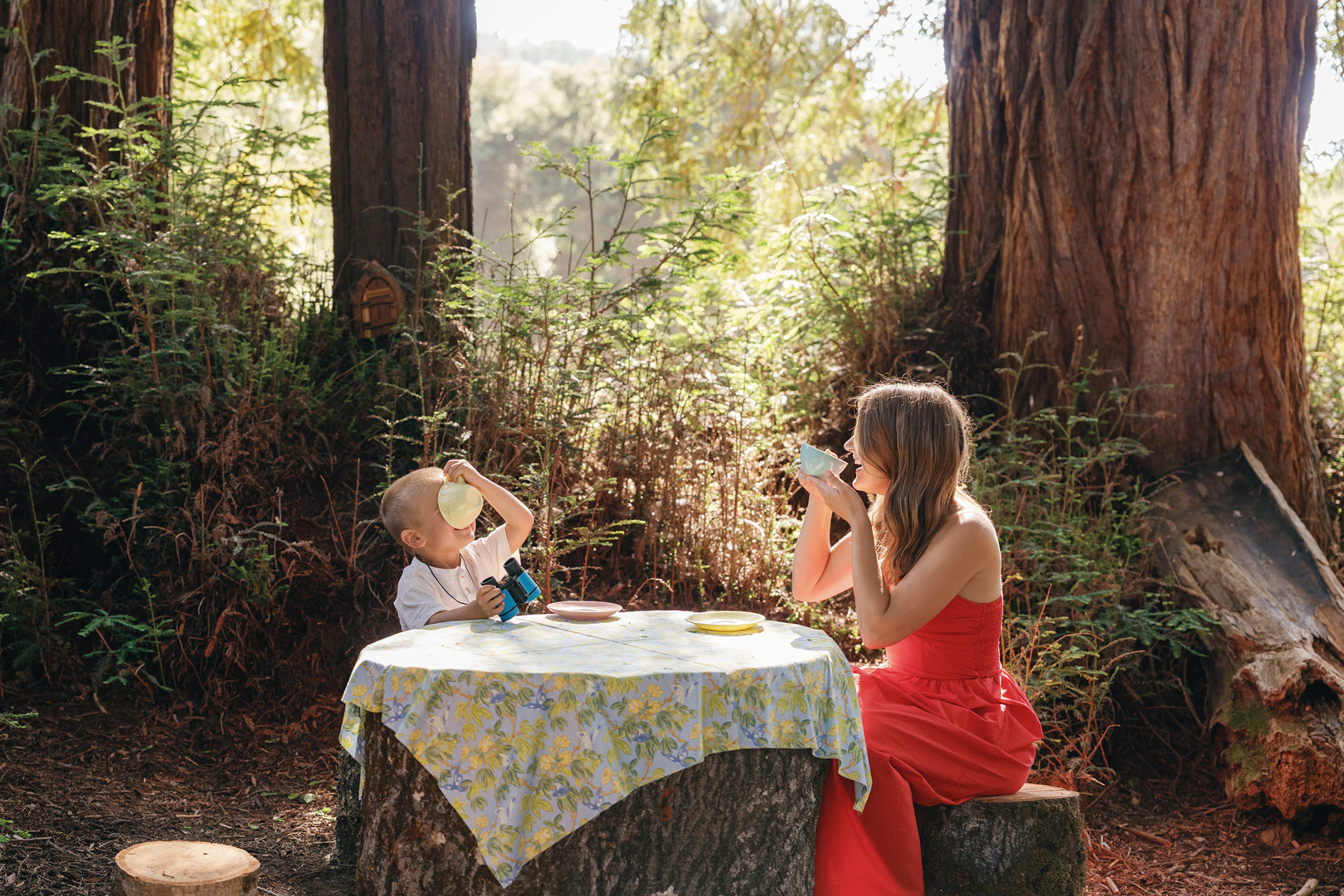 Filoli Historic House and World Class Gardens