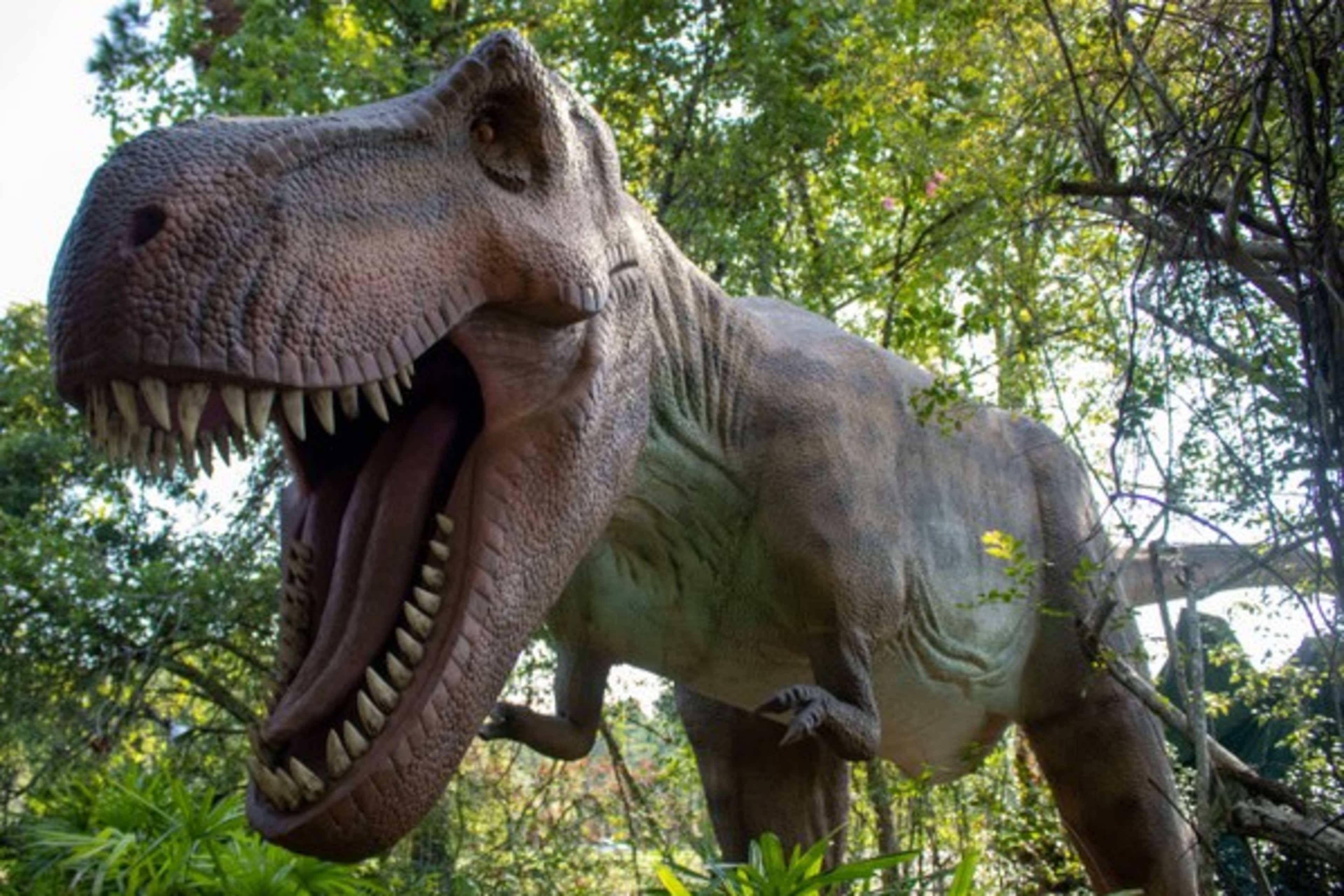 Zoológico y Jardines de San Francisco