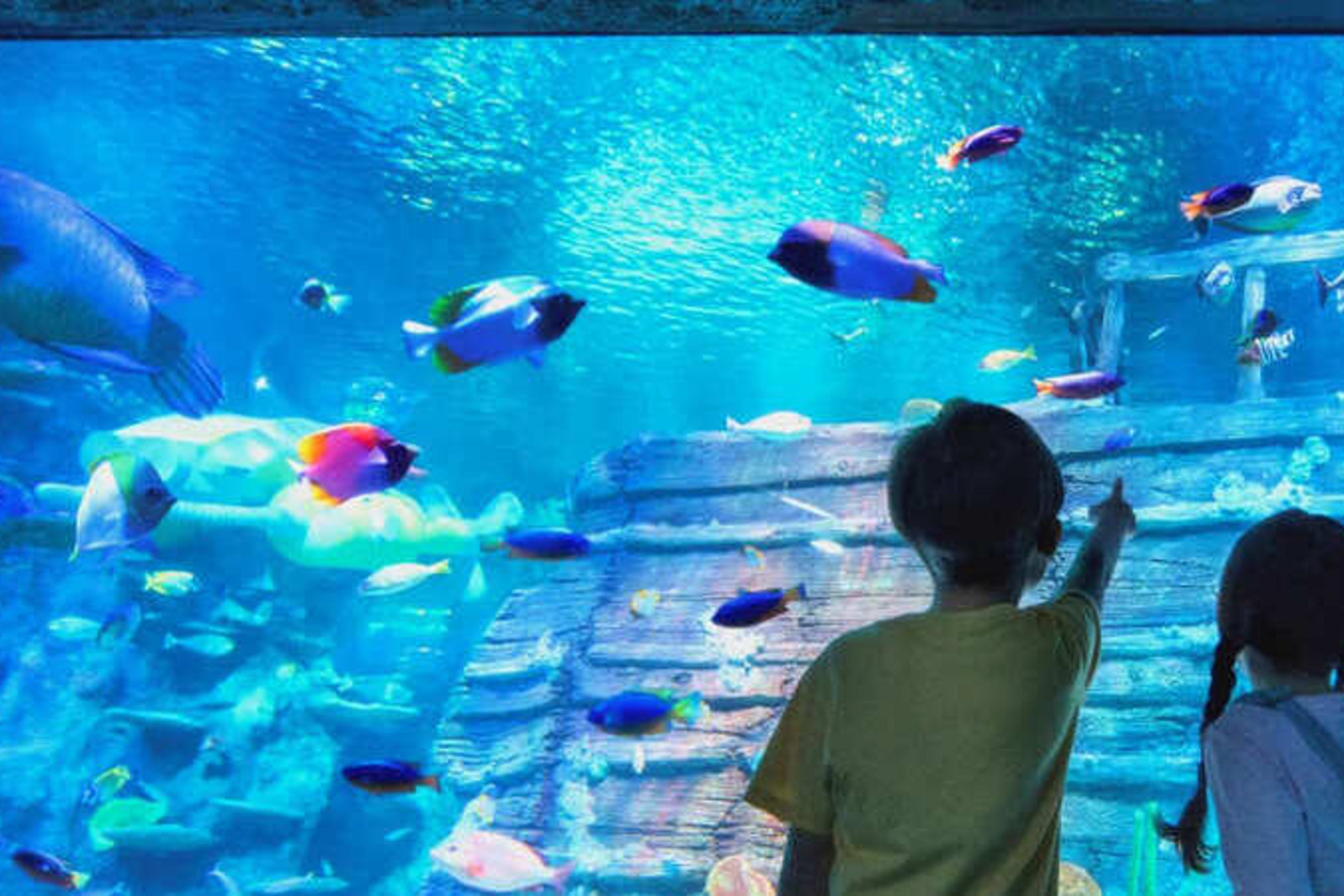 SEA LIFE Malaysia