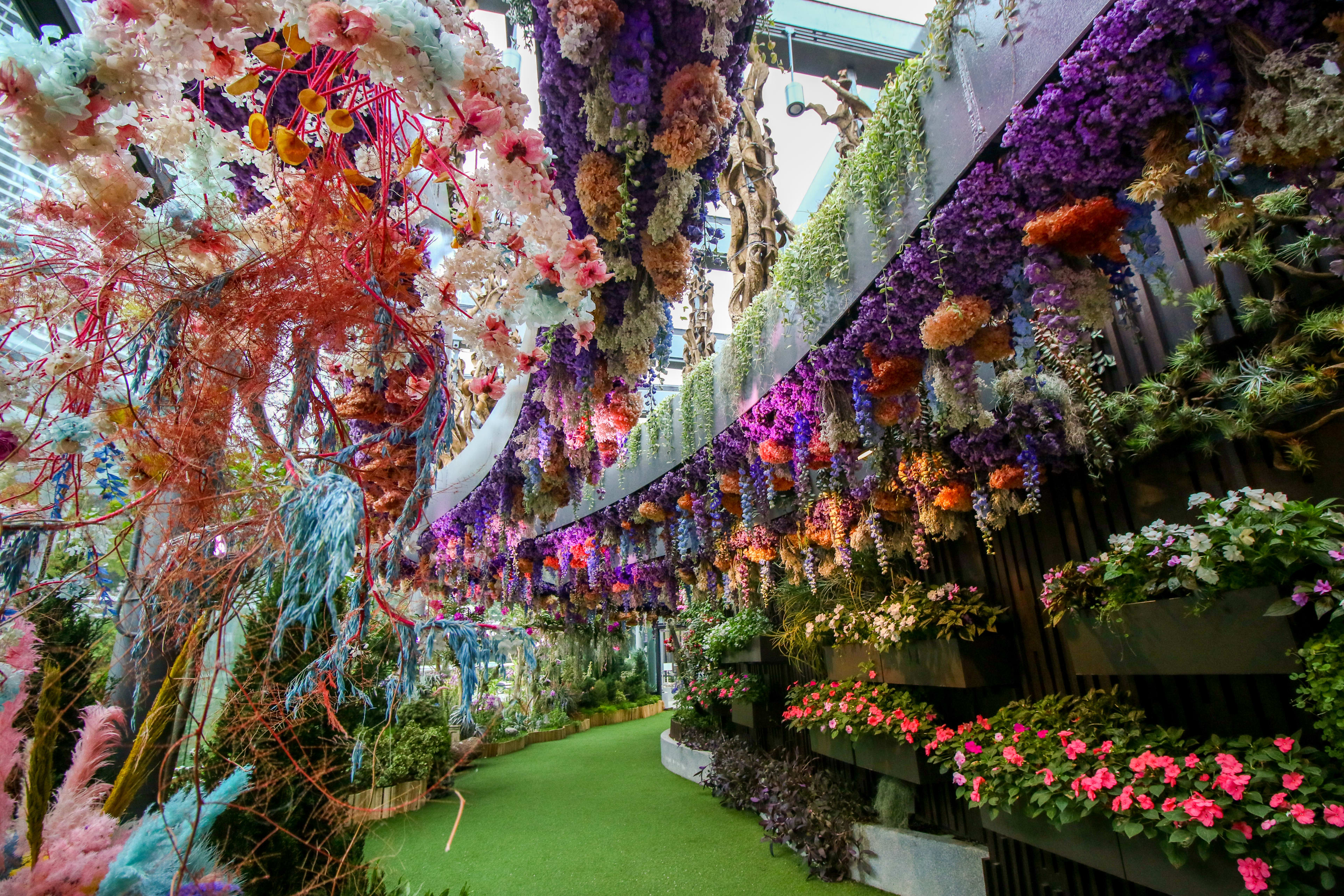 Floral Fantasy, Singapore
