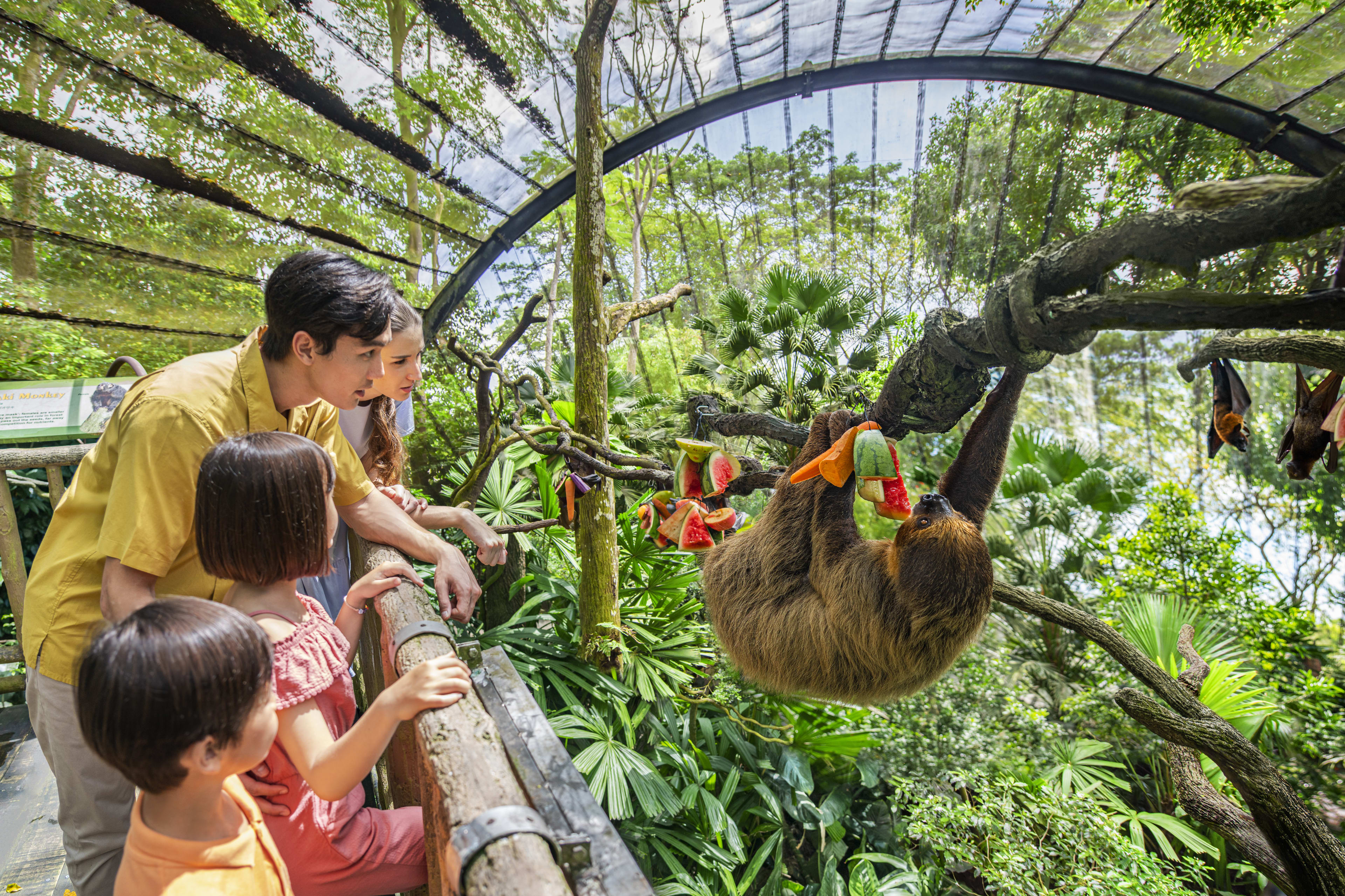 singapore zoo