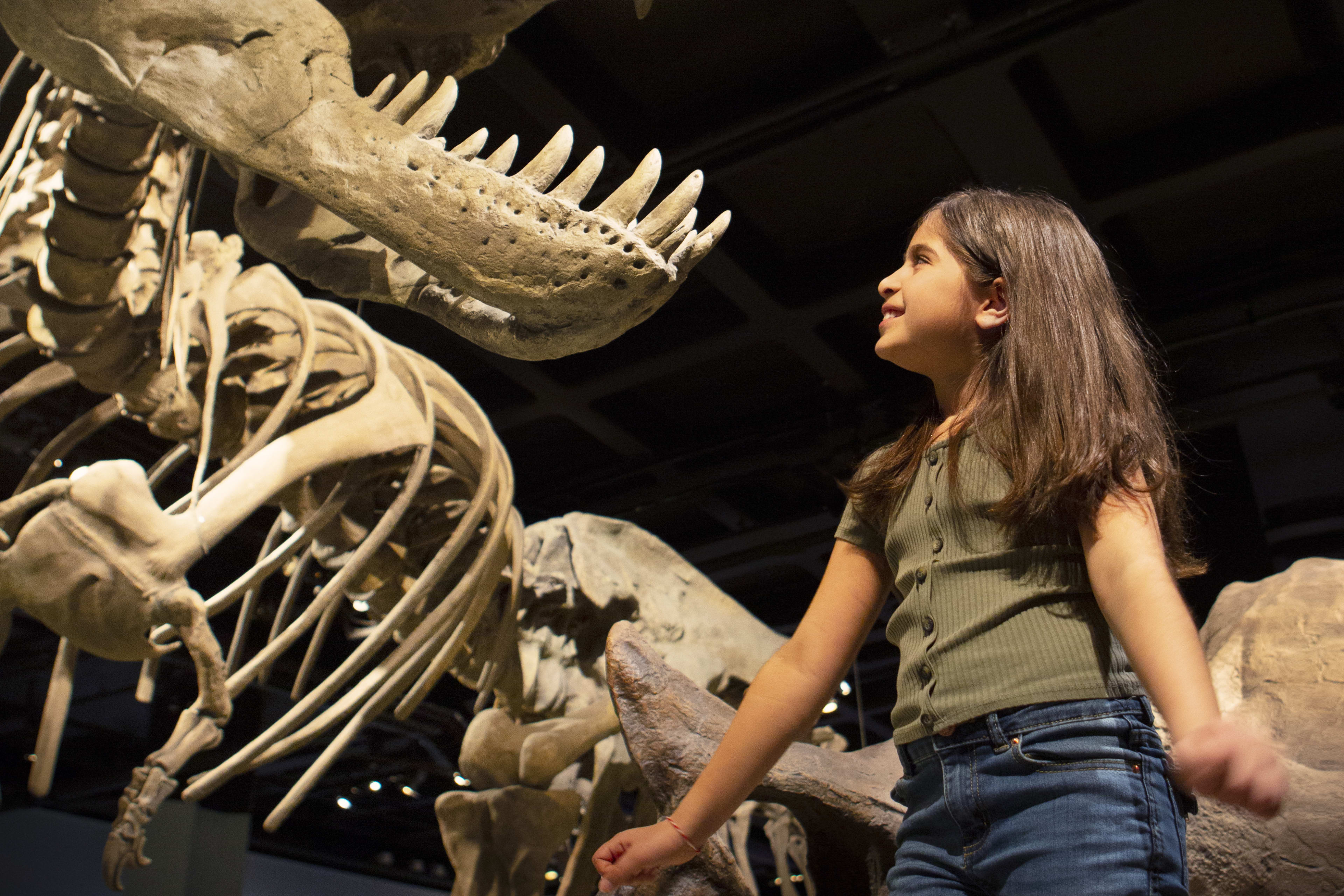 Swedish Museum of Natural History