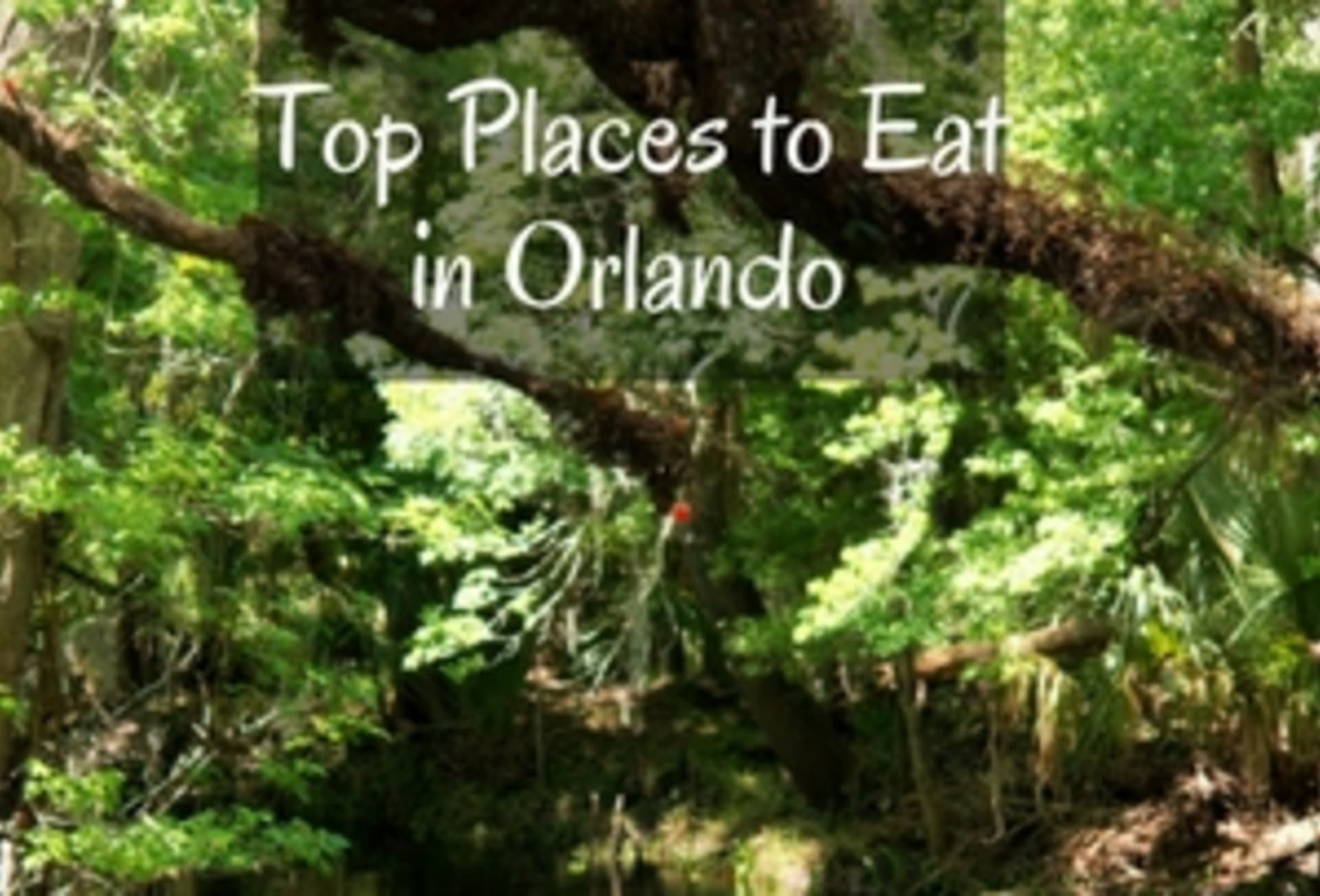 top-places-to-eat-in-orlando.jpg