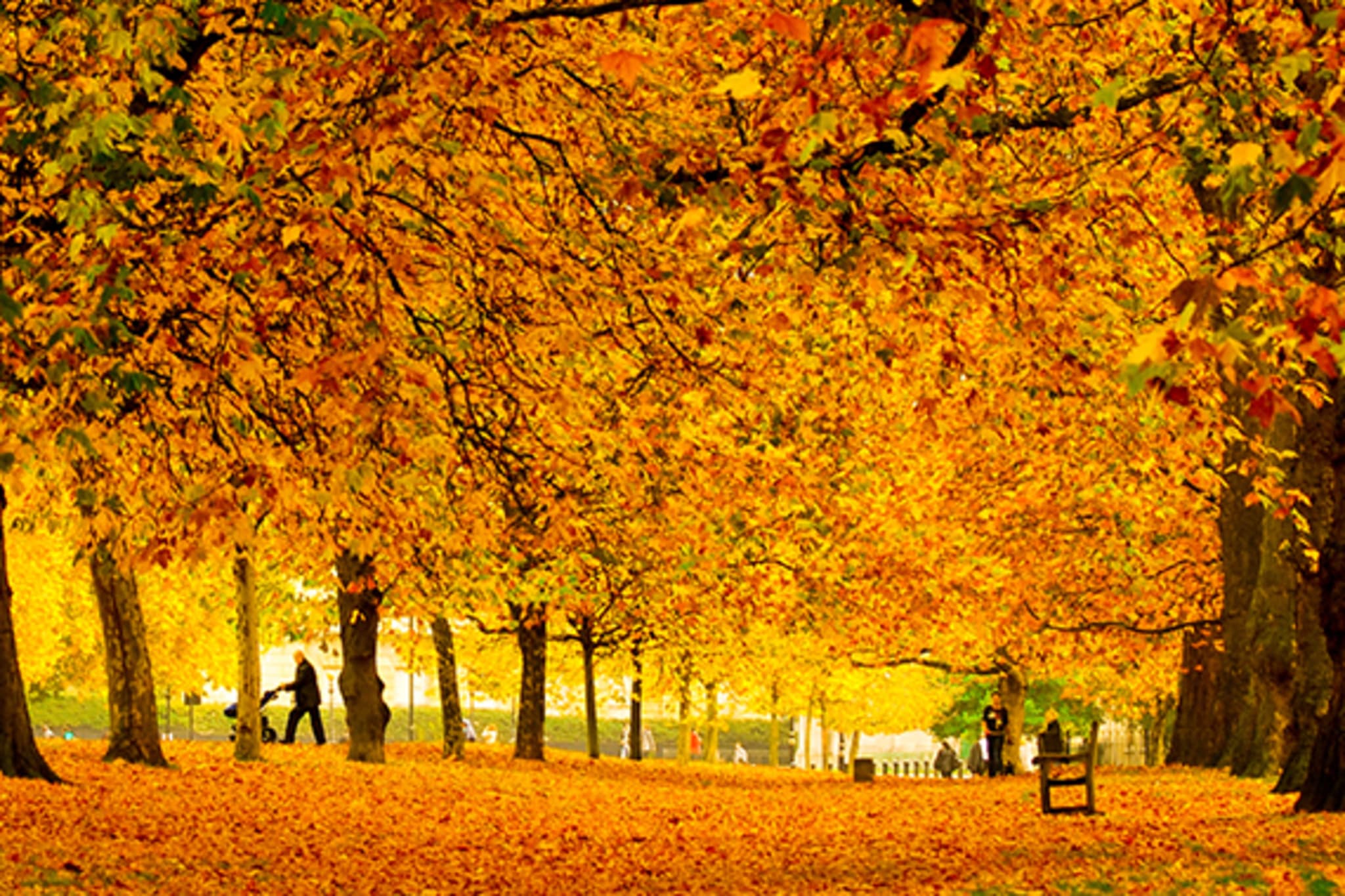 London in the Autumn