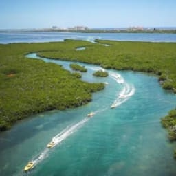 Jungle Tour Speed Boat