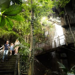 Rainforest zone in the Universeum, Gothenburg.