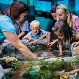 SEA LIFE Aquarium Orlando | Go Orlando Pass