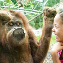 San Diego Zoo