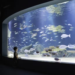 Aqua Planet 63, Seoul