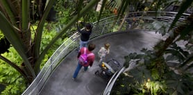 California Academy of Science Tickets | GO San Francisco Pass