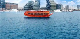 Yas Marina Sightseeing Cruise