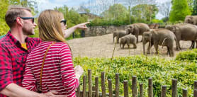 Dublin Zoo