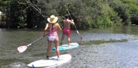 3h Kayak or Stand Up Paddle Board Rental Oahu