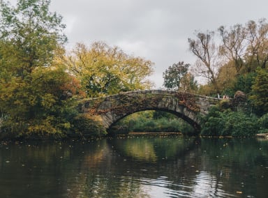 Fall in new york city