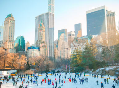 wollman rink