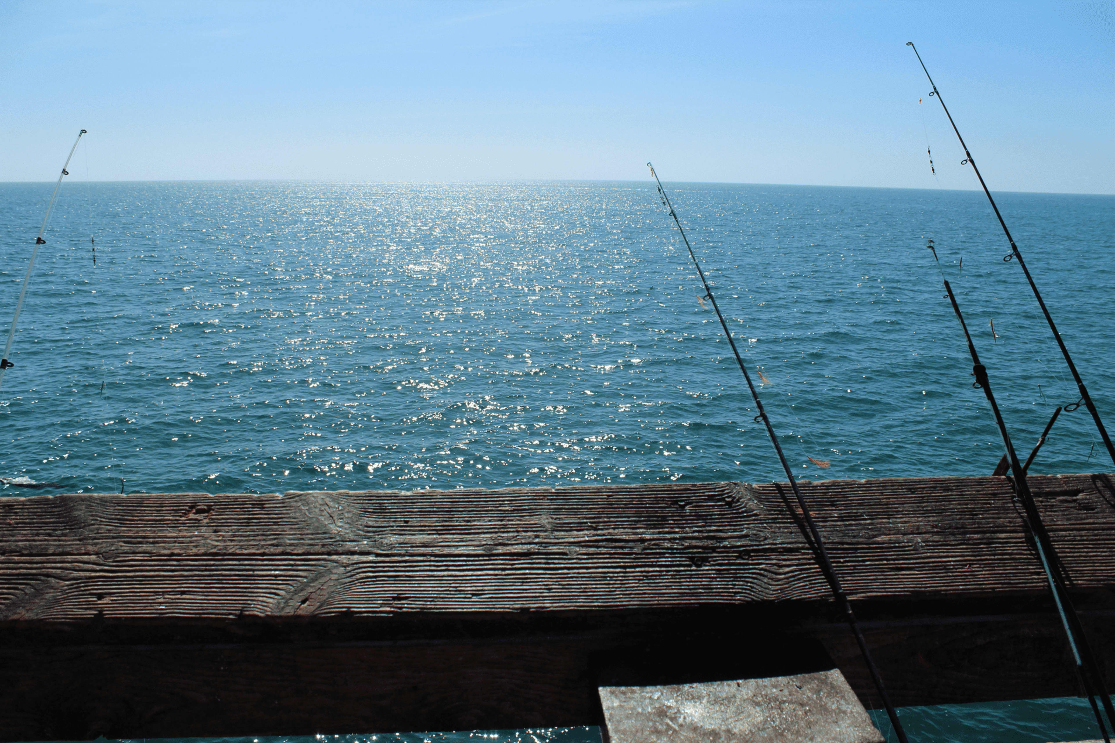 Pier Fishing