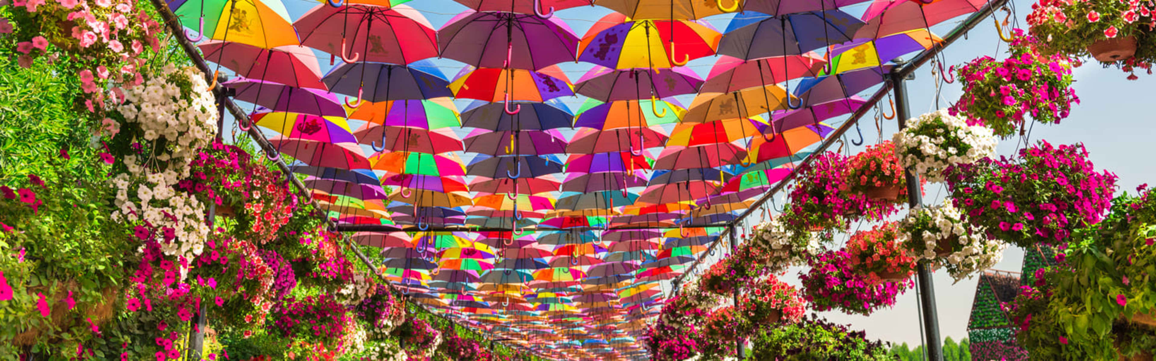 Dubai Miracle Garden Discount Tickets Go City®