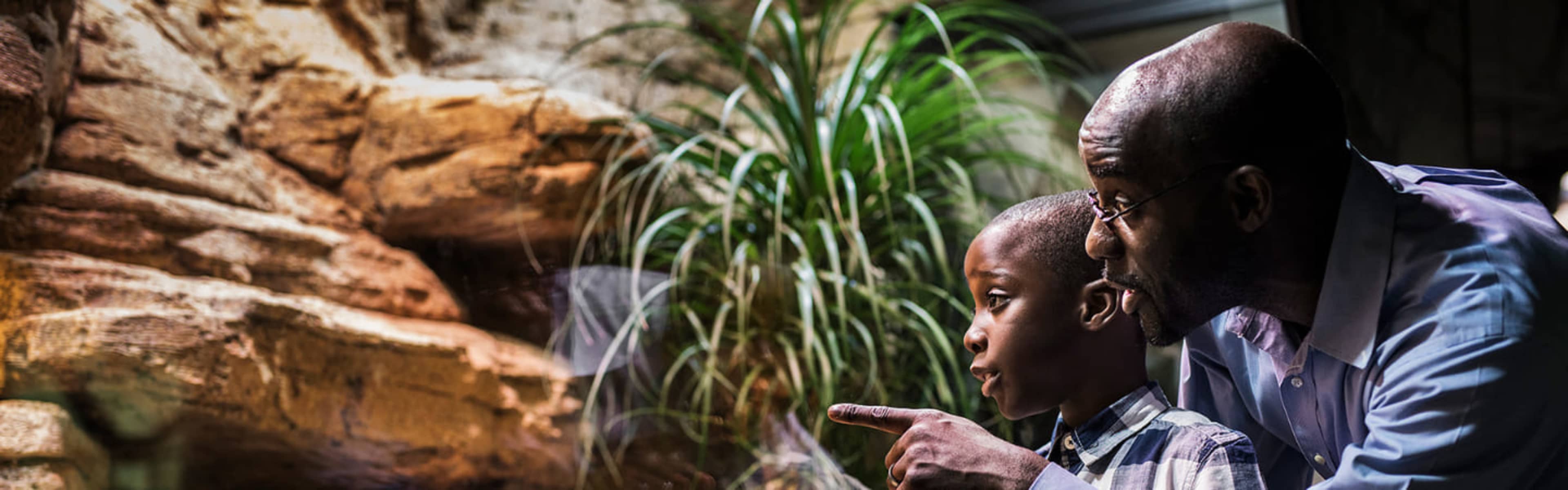 Parent and child enjoying a exhibit at the Universeum in Gothenburg.